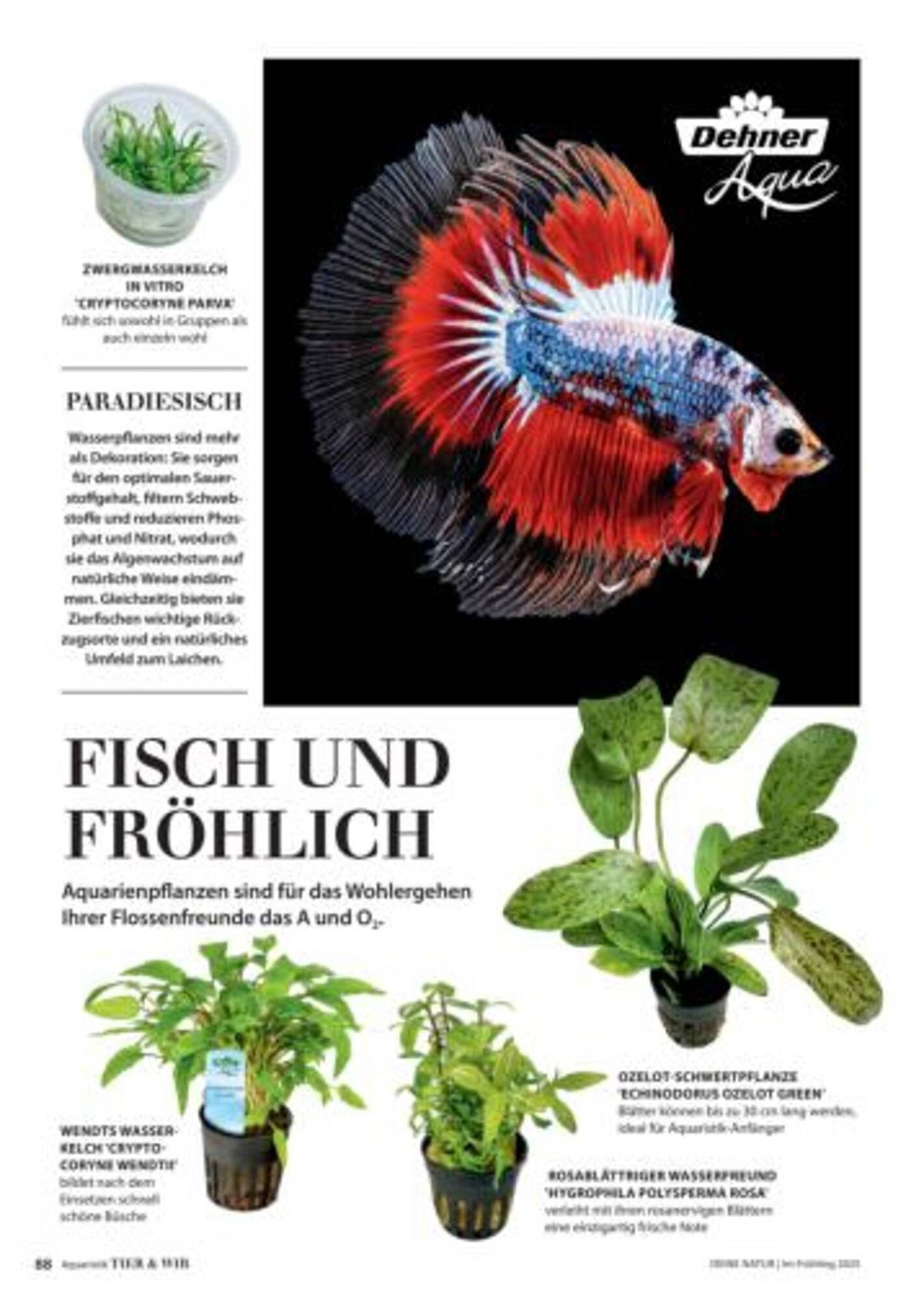 Dehner Flugblatt (2025-10-05 - 2025-10-11)