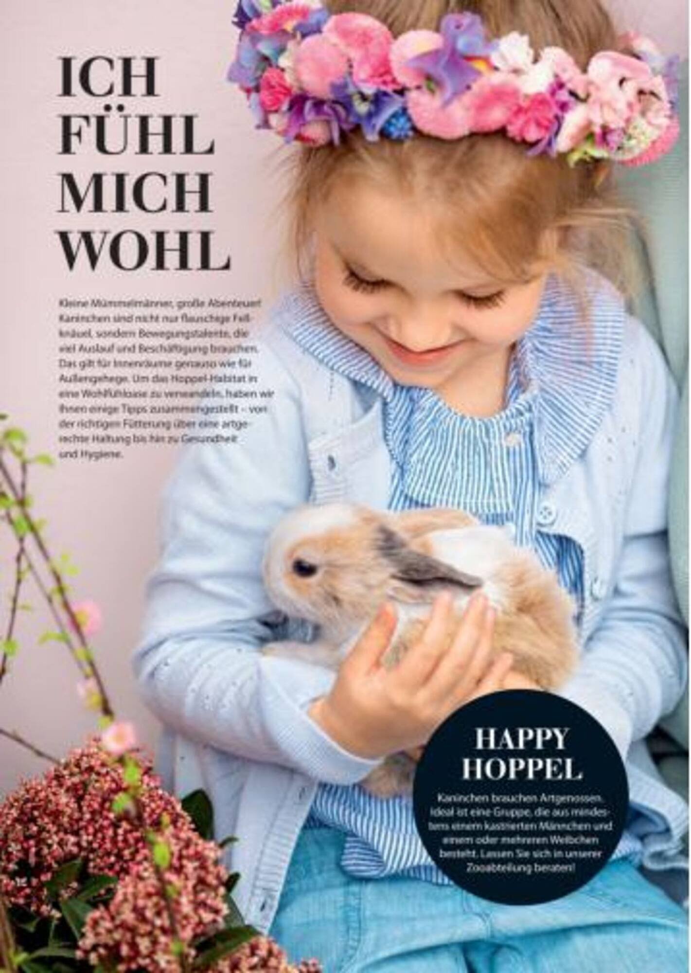 Dehner Flugblatt (2025-10-05 - 2025-10-11)