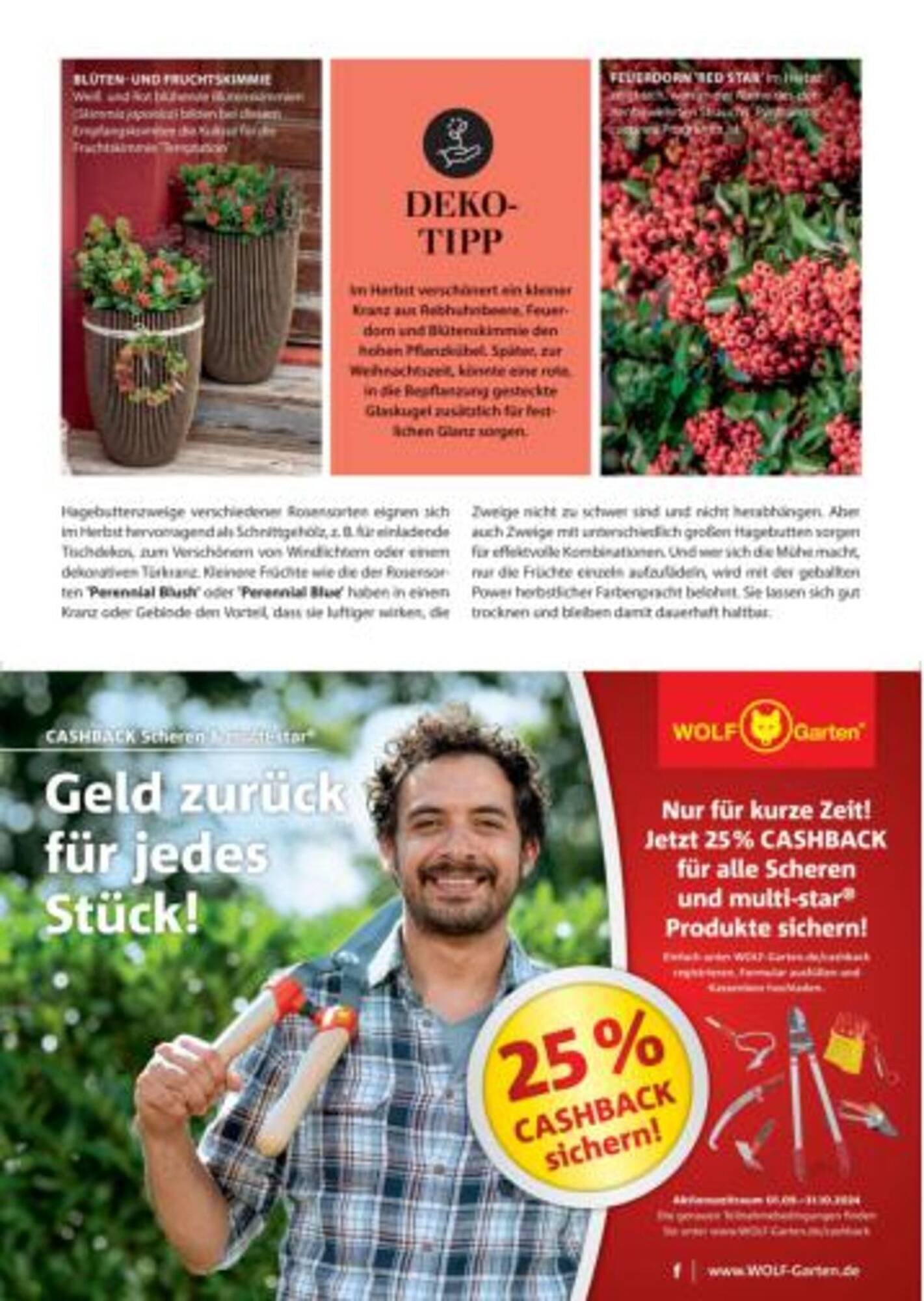 Dehner Flugblatt (2025-09-06 - 2025-09-19)