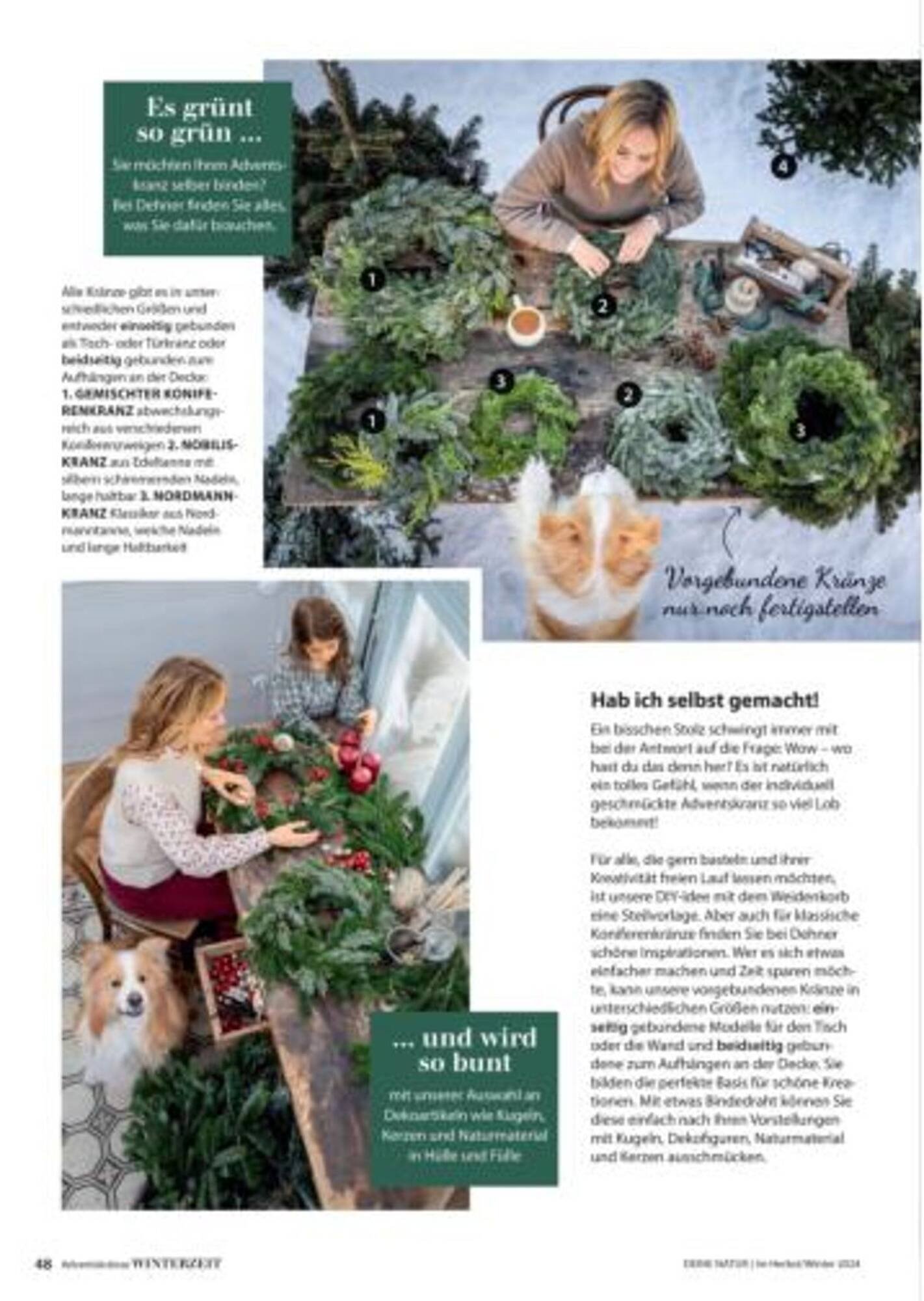 Dehner Flugblatt (2025-09-06 - 2025-09-19)