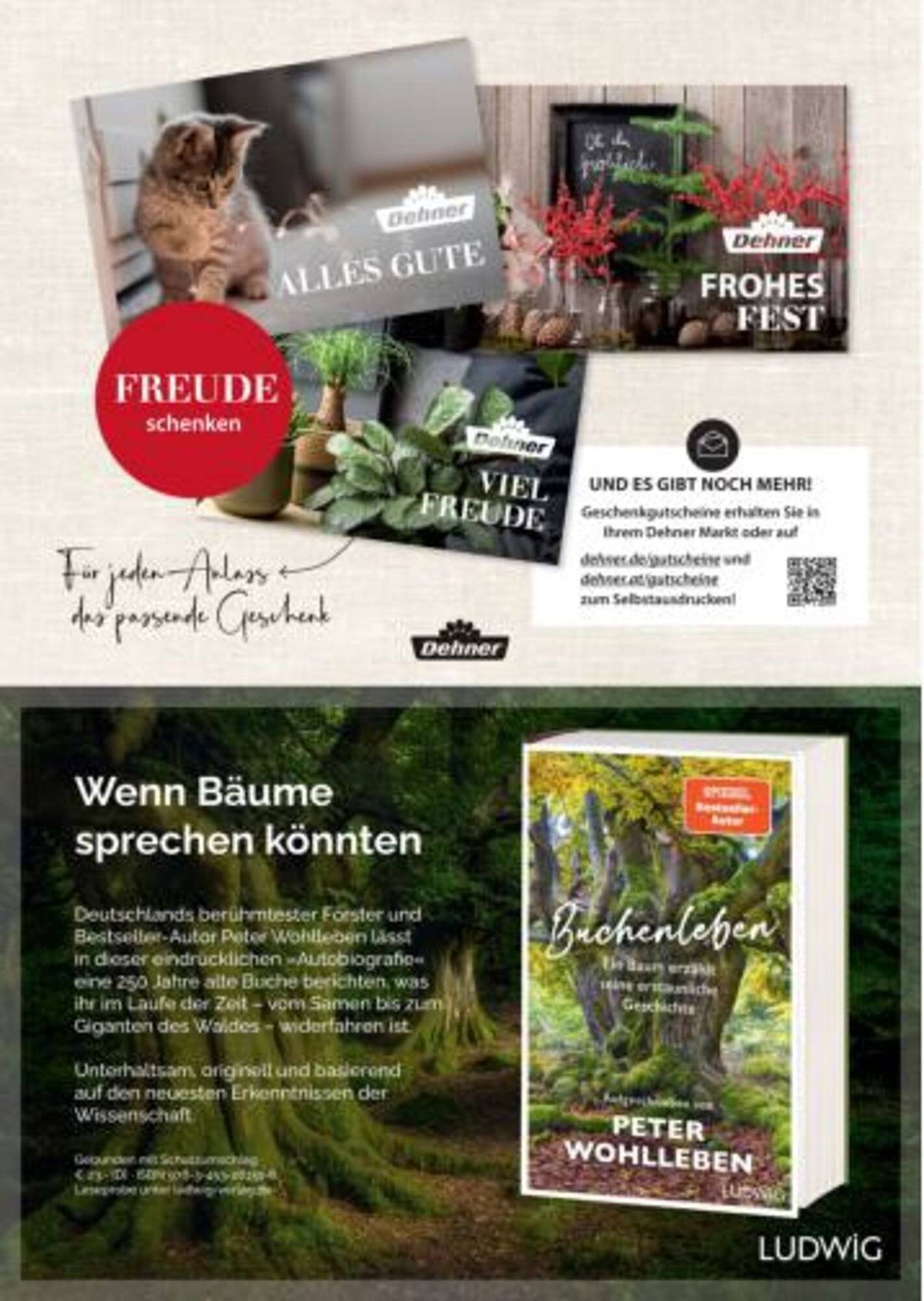 Dehner Flugblatt (2025-09-06 - 2025-09-19)
