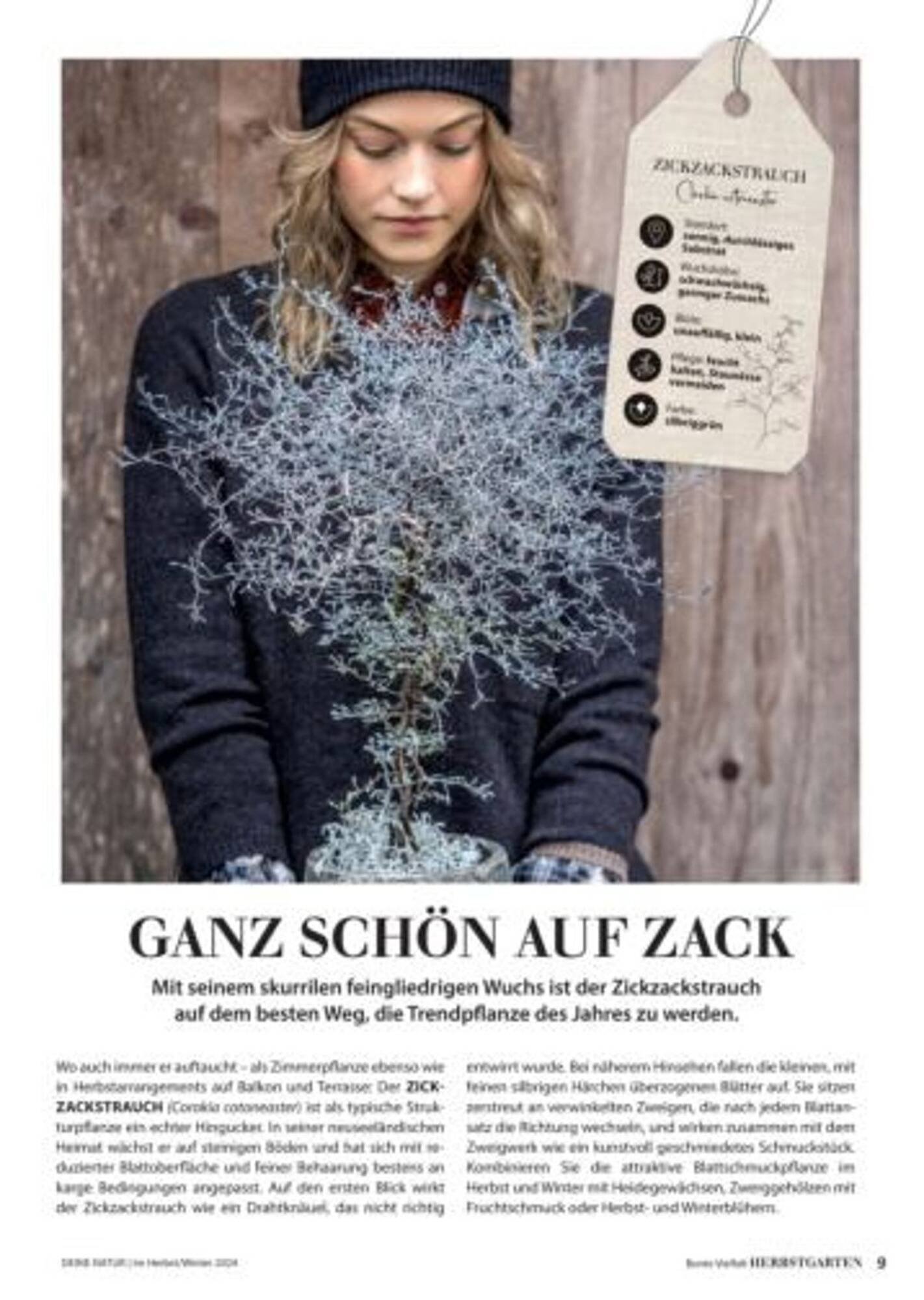 Dehner Flugblatt (2025-09-06 - 2025-09-19)