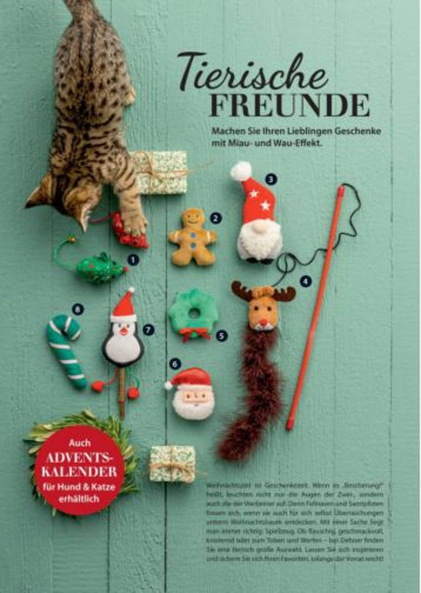 Dehner Flugblatt (2025-09-06 - 2025-09-19)