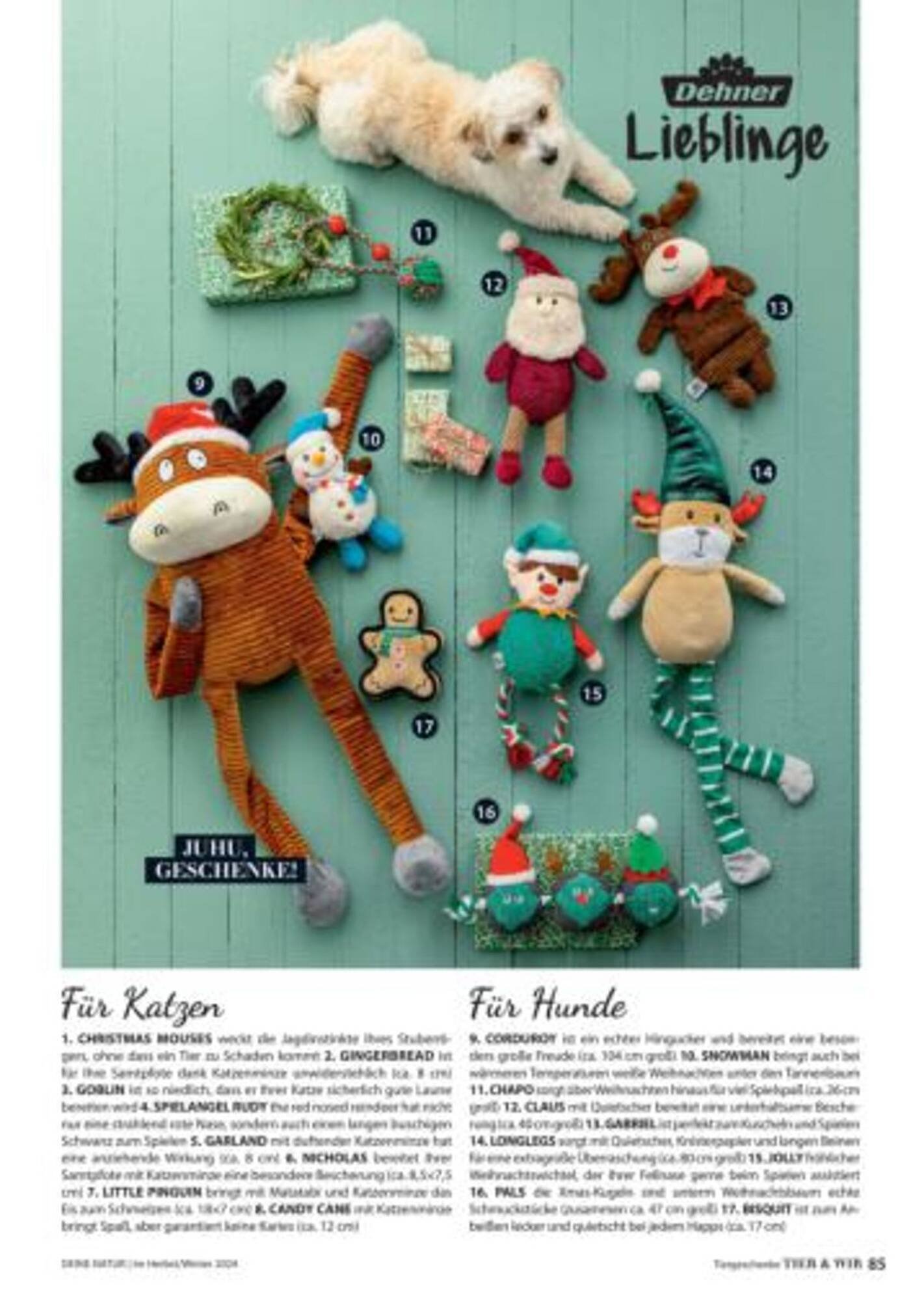 Dehner Flugblatt (2025-09-06 - 2025-09-19)