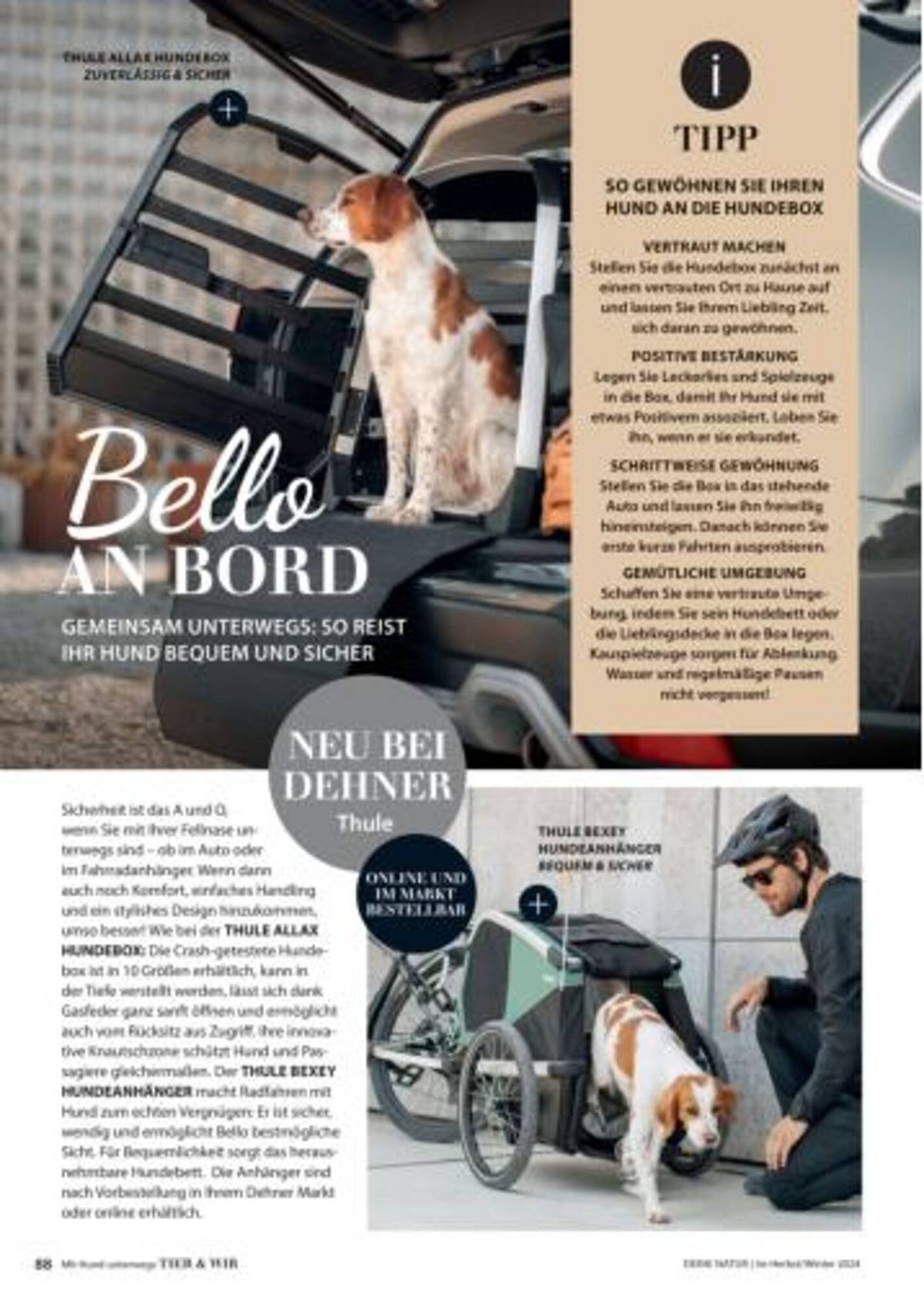 Dehner Flugblatt (2025-09-06 - 2025-09-19)