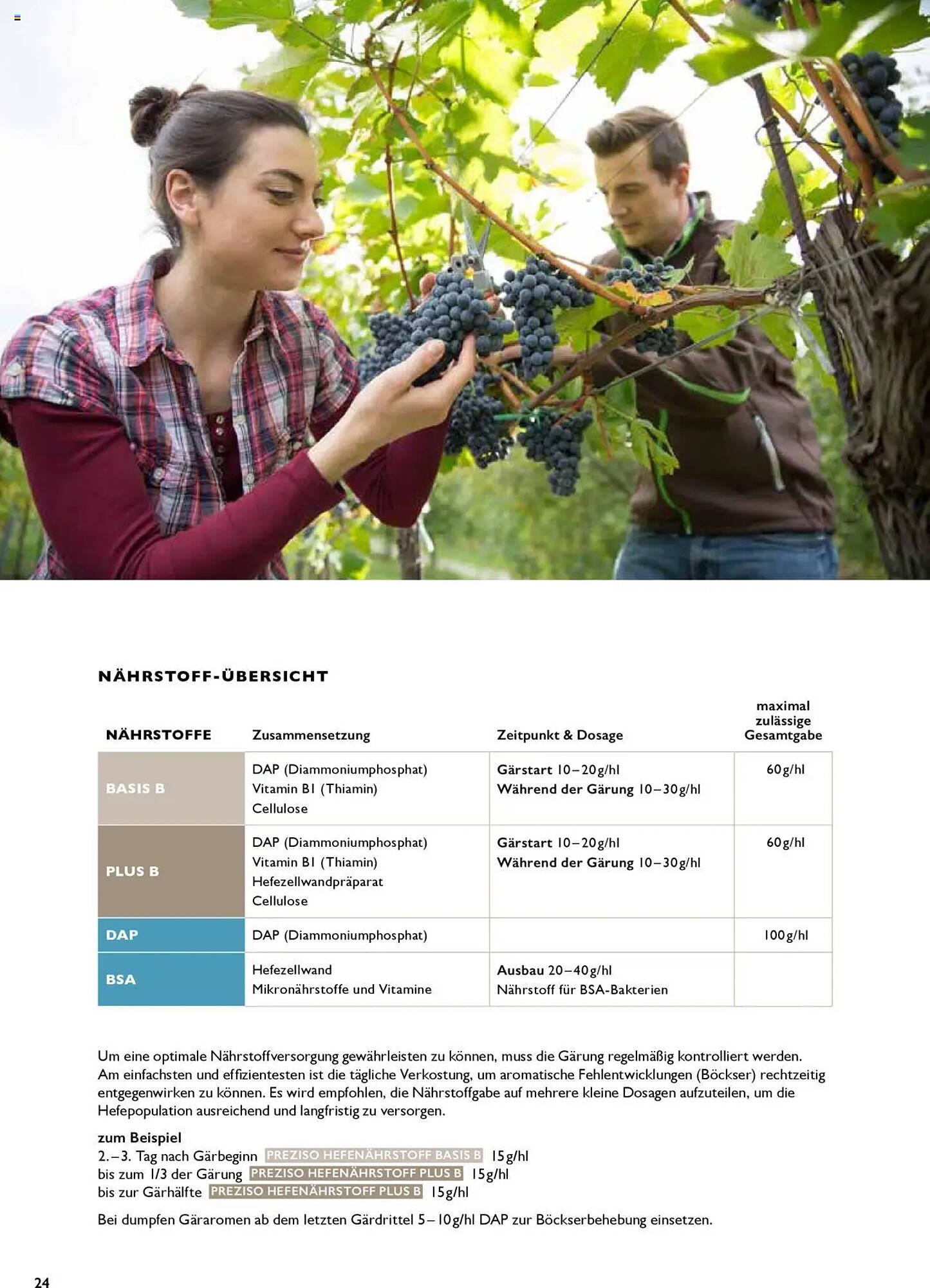 Lagerhaus Flugblatt (2025-07-21 - 2026-12-31)