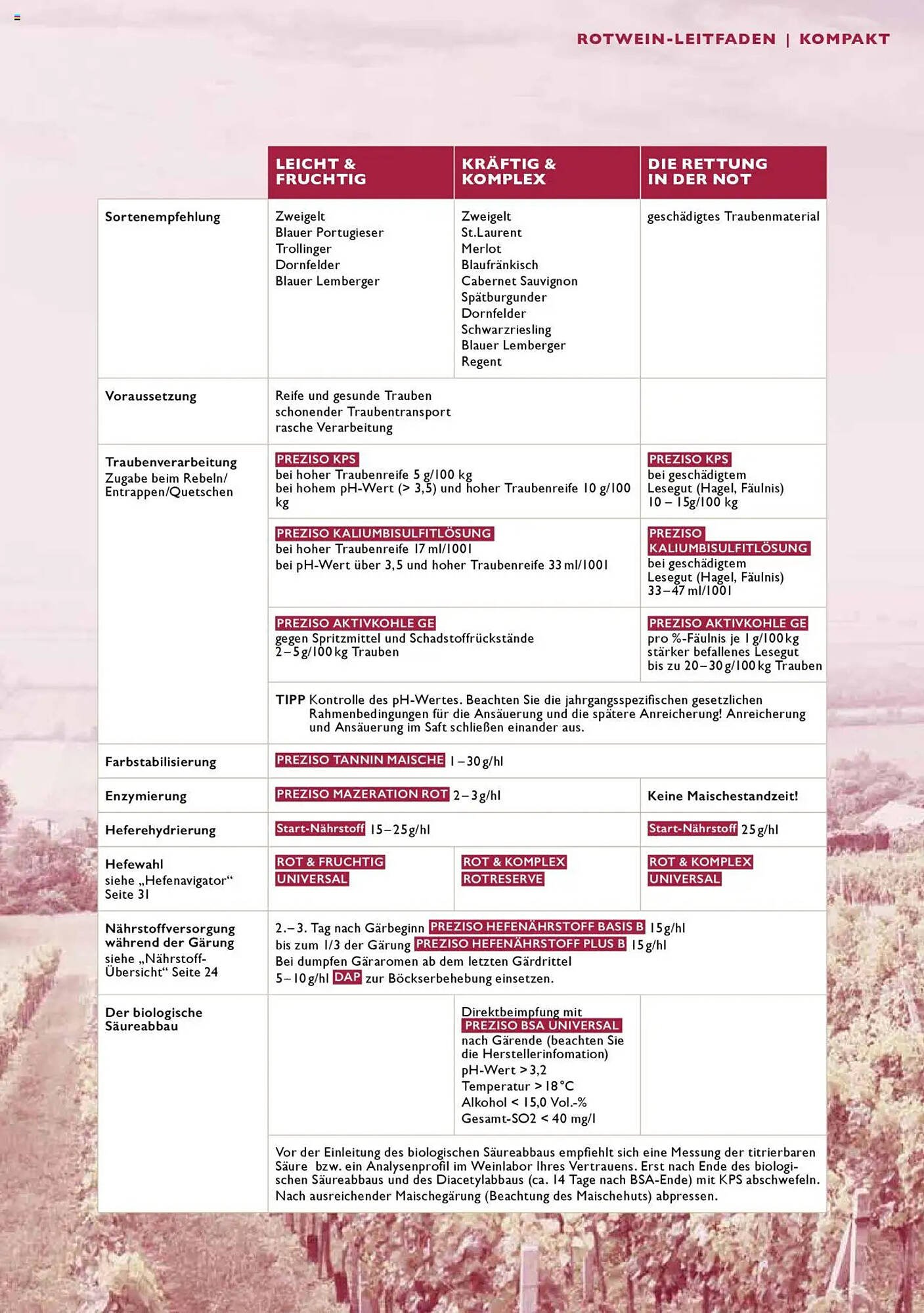 Lagerhaus Flugblatt (2025-07-21 - 2026-12-31)