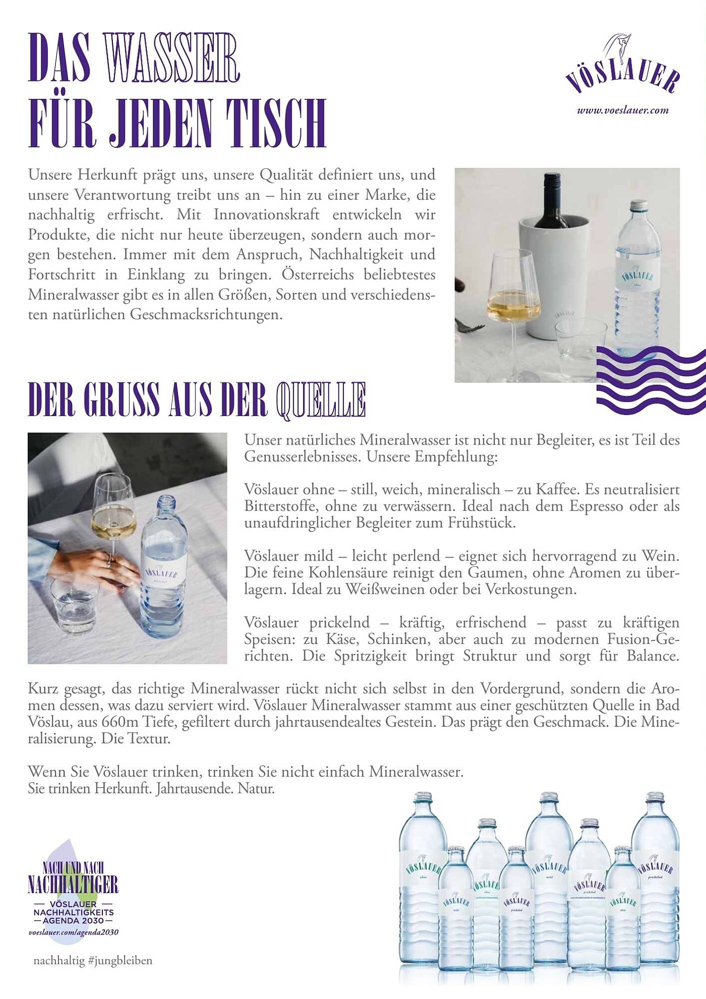 Transgourmet Flugblatt