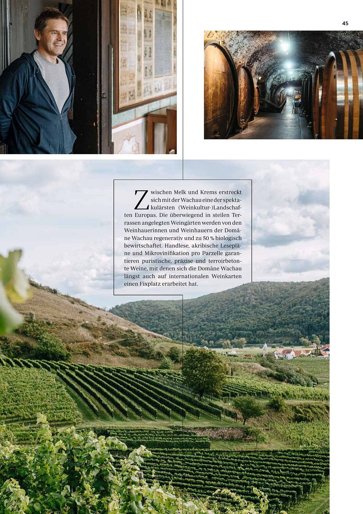 Transgourmet Flugblatt