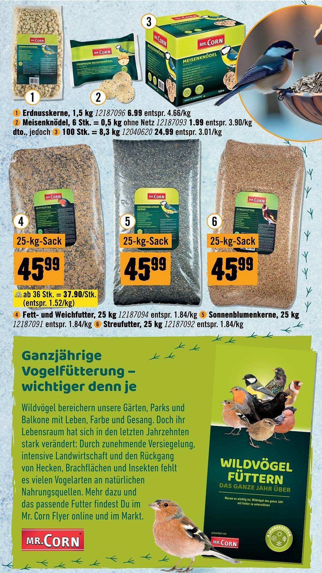 Hornbach Flugblatt (2025-11-19 - 2025-12-03)