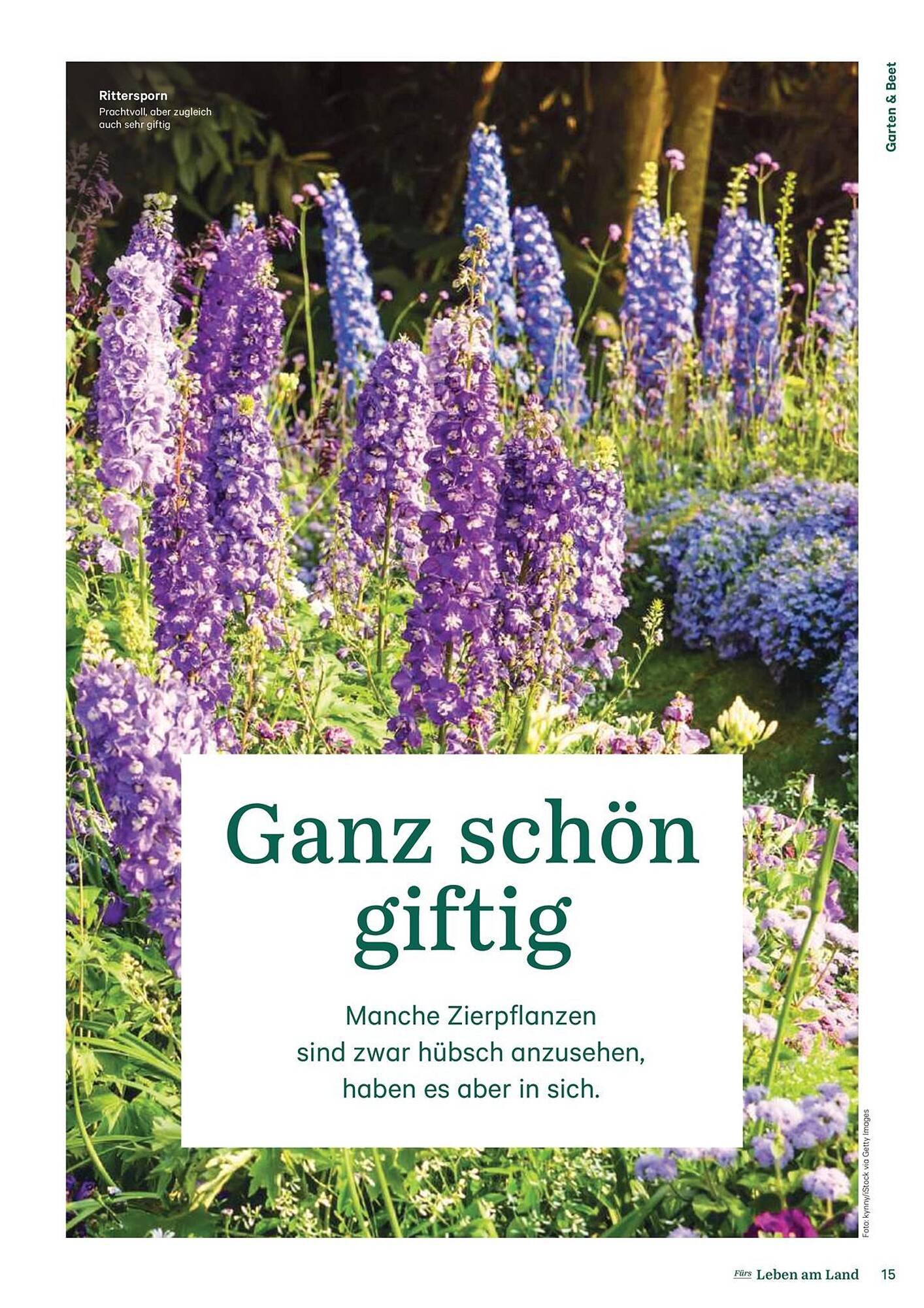 Lagerhaus Flugblatt (2025-09-14 - 2025-09-15)