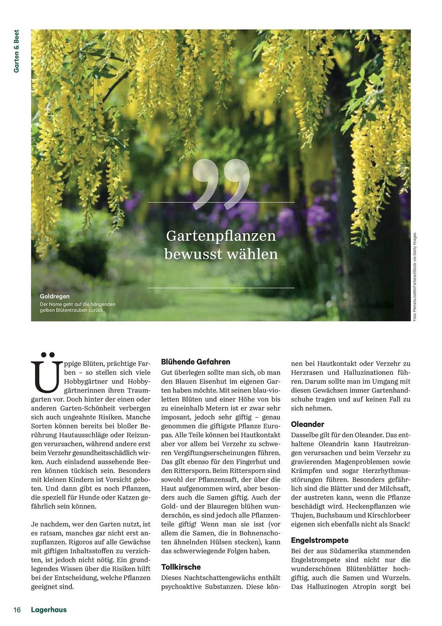 Lagerhaus Flugblatt (2025-09-14 - 2025-09-15)