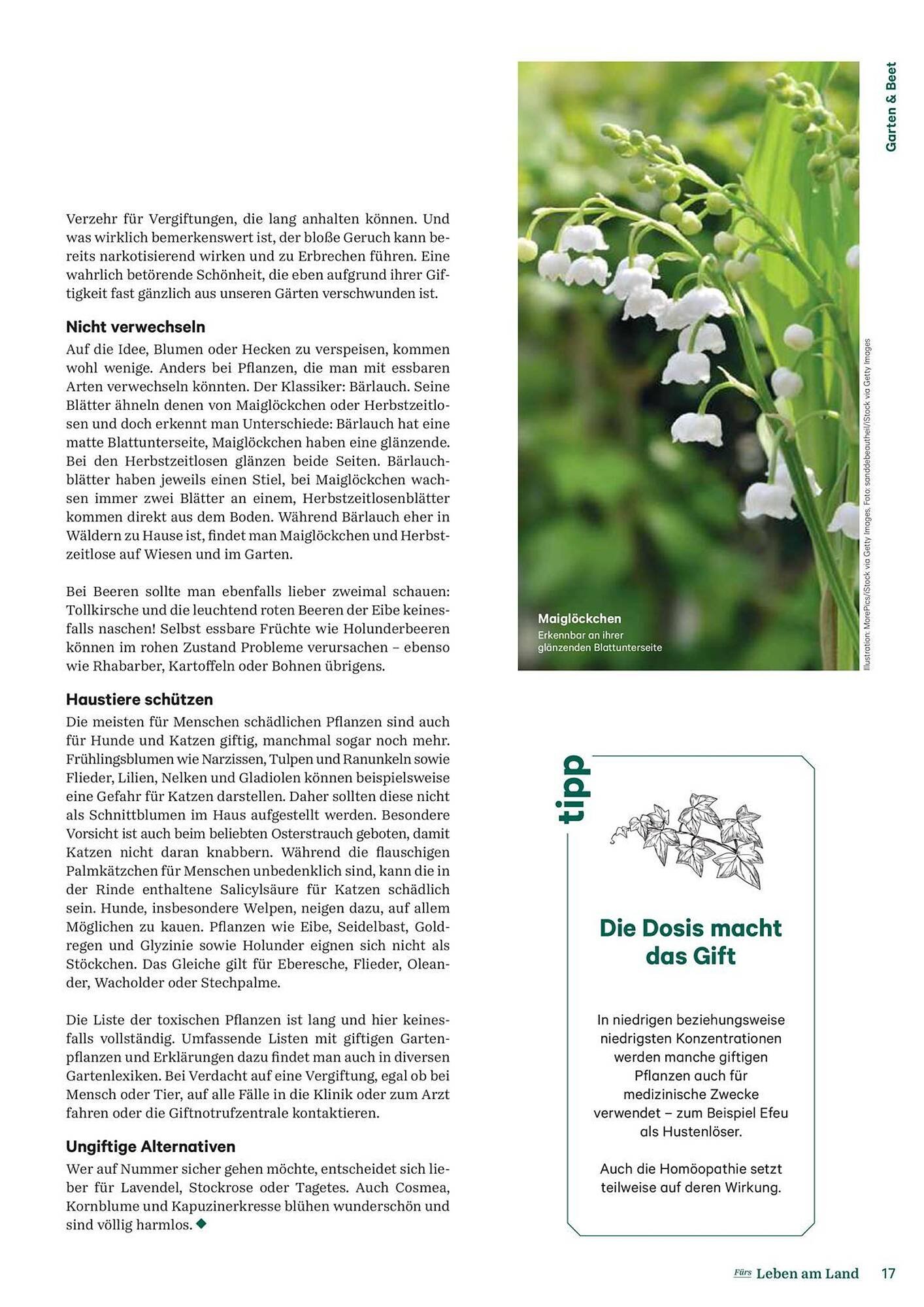 Lagerhaus Flugblatt (2025-09-14 - 2025-09-15)