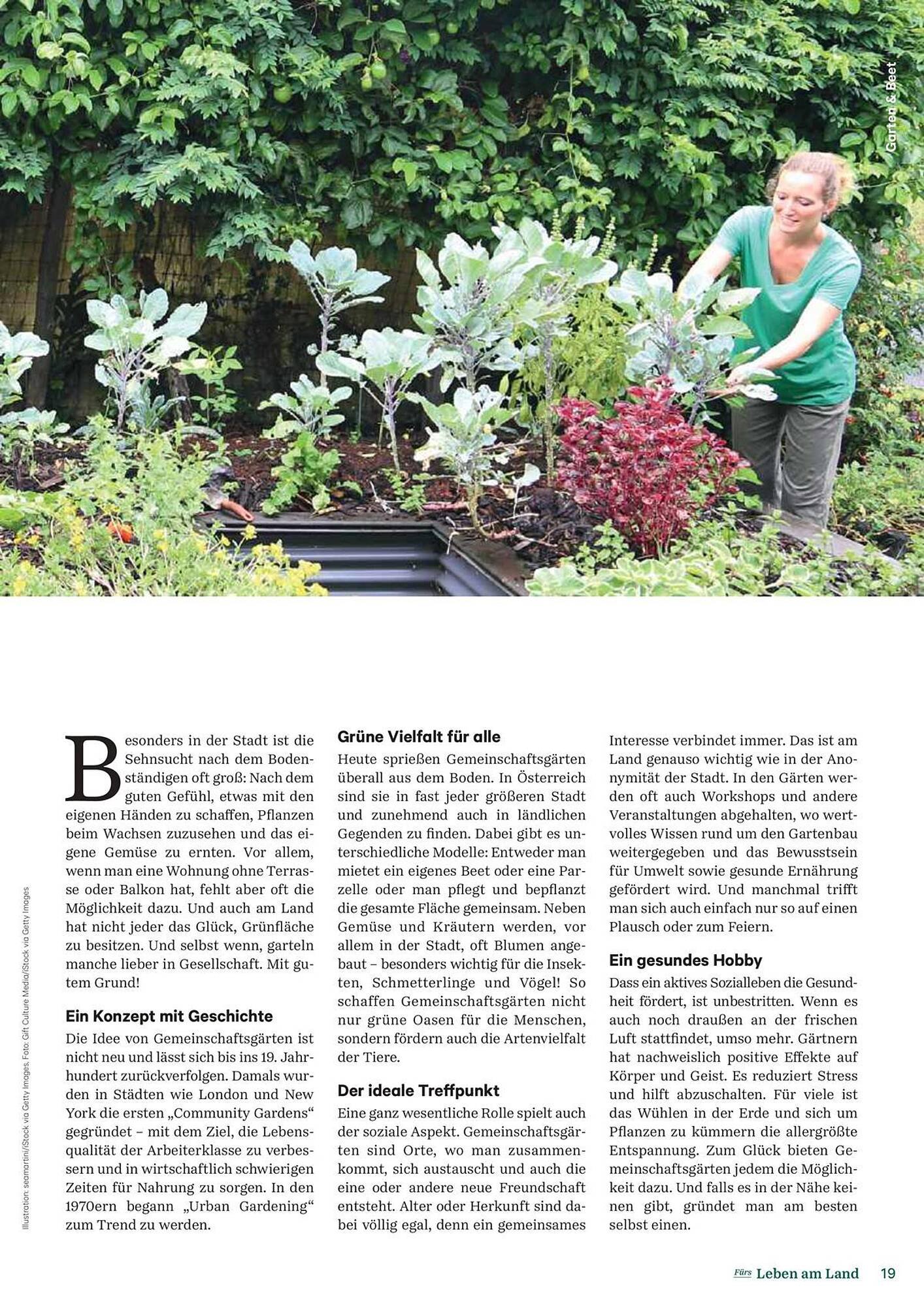 Lagerhaus Flugblatt (2025-09-14 - 2025-09-15)