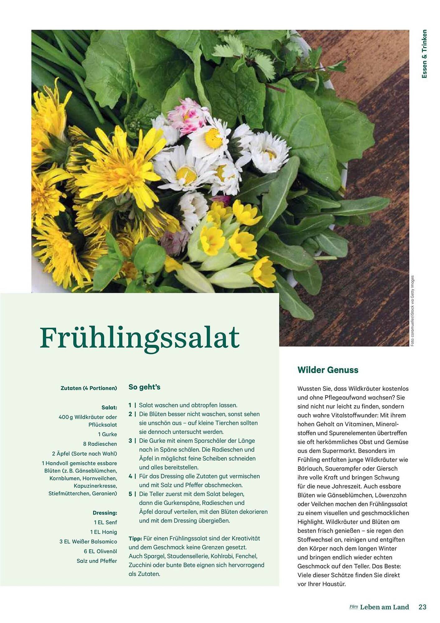 Lagerhaus Flugblatt (2025-09-14 - 2025-09-15)