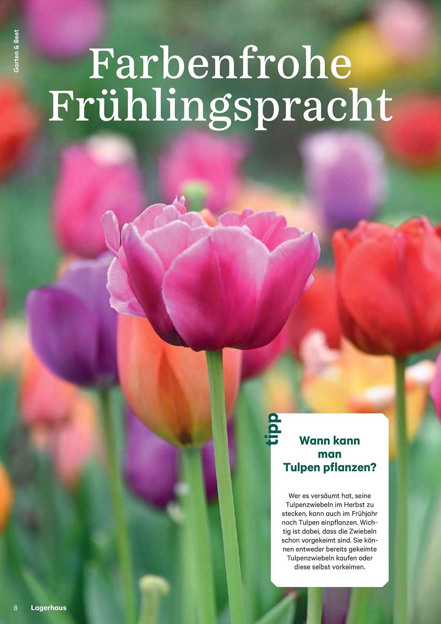 Lagerhaus Flugblatt (2025-09-14 - 2025-09-15)