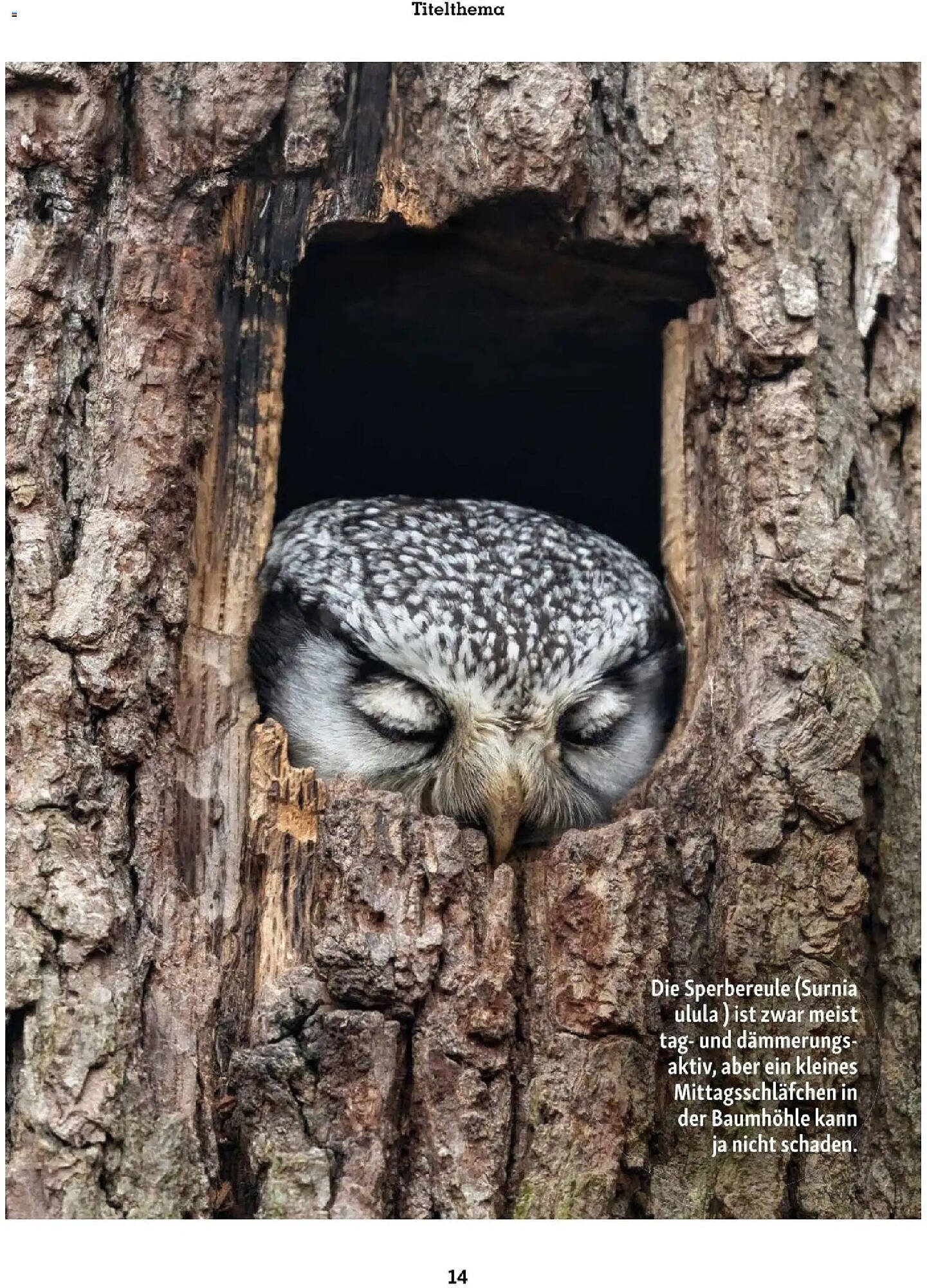 Fressnapf Flugblatt (2025-11-01 - 2025-12-31)