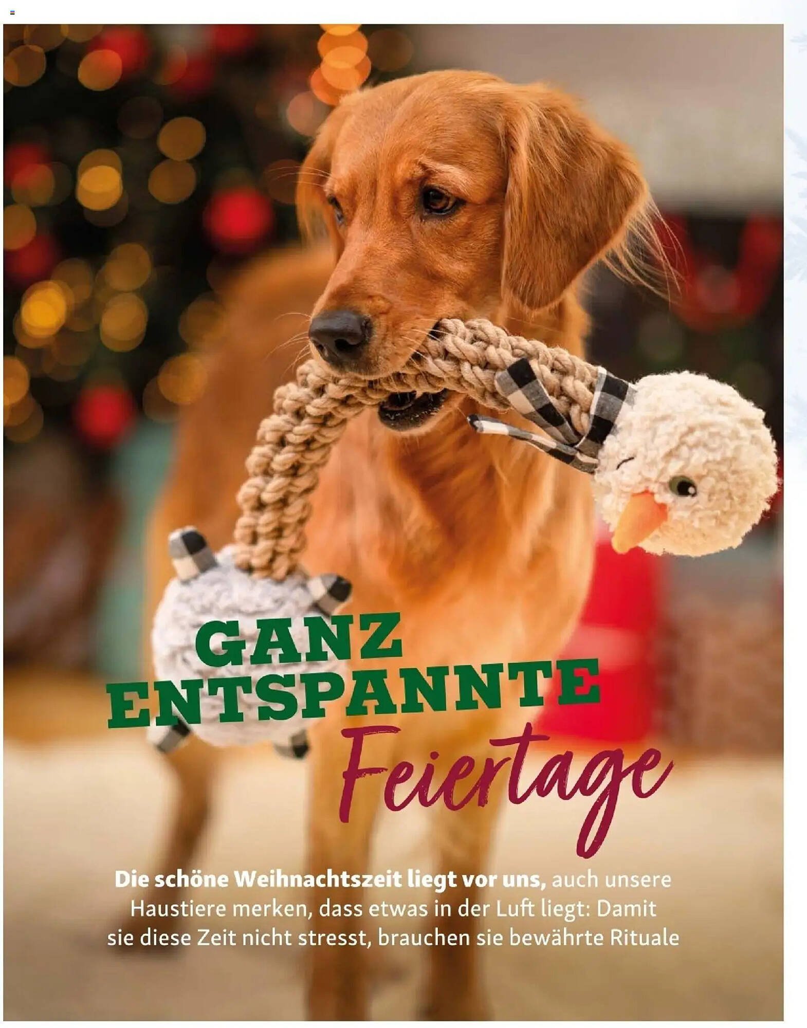 Fressnapf Flugblatt (2025-11-01 - 2025-12-31)