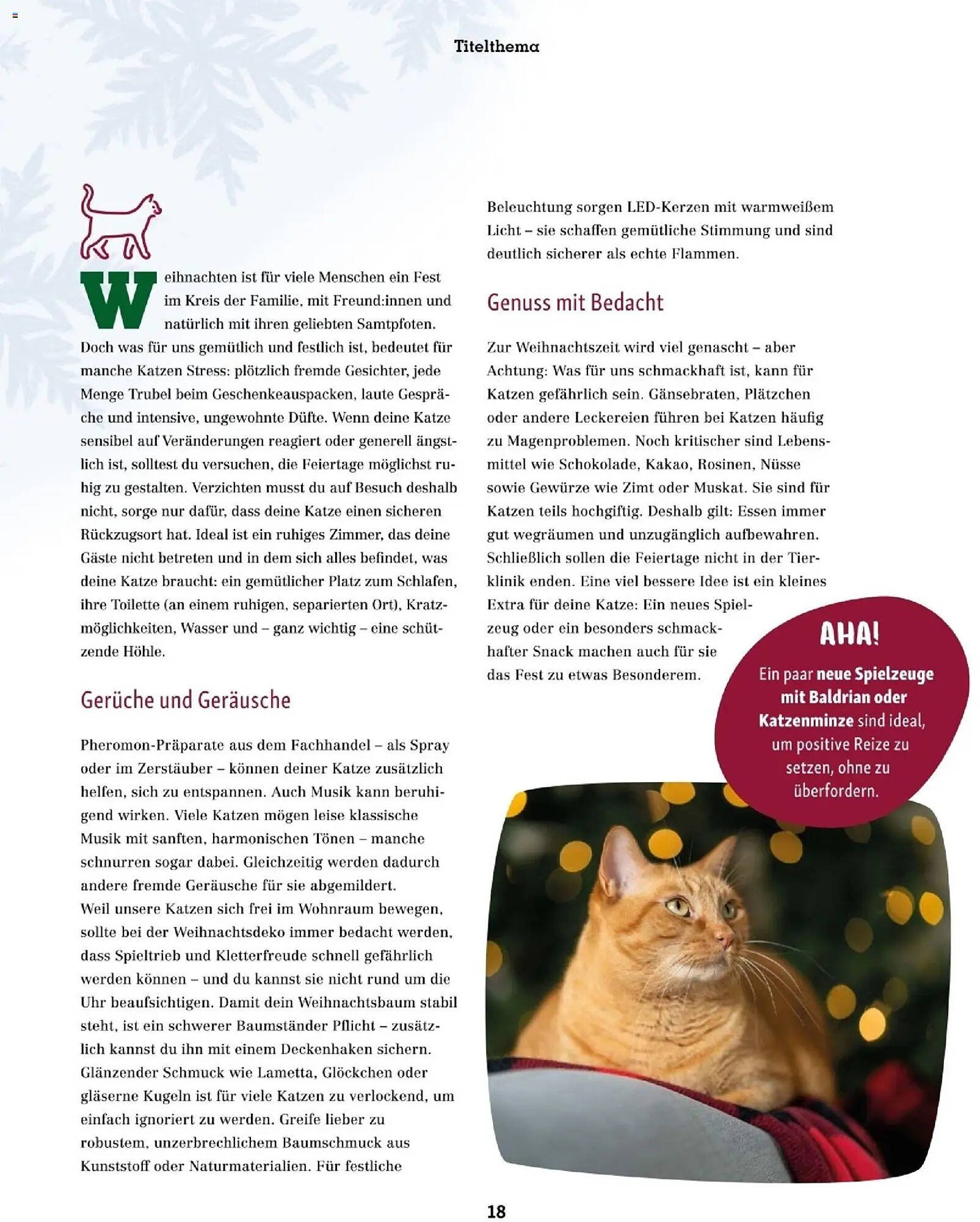 Fressnapf Flugblatt (2025-11-01 - 2025-12-31)