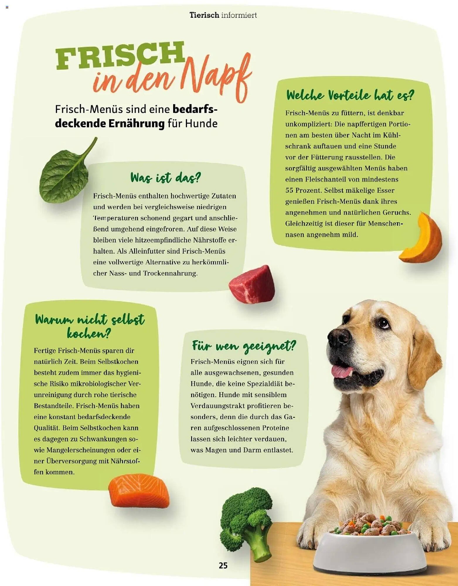 Fressnapf Flugblatt (2025-11-01 - 2025-12-31)