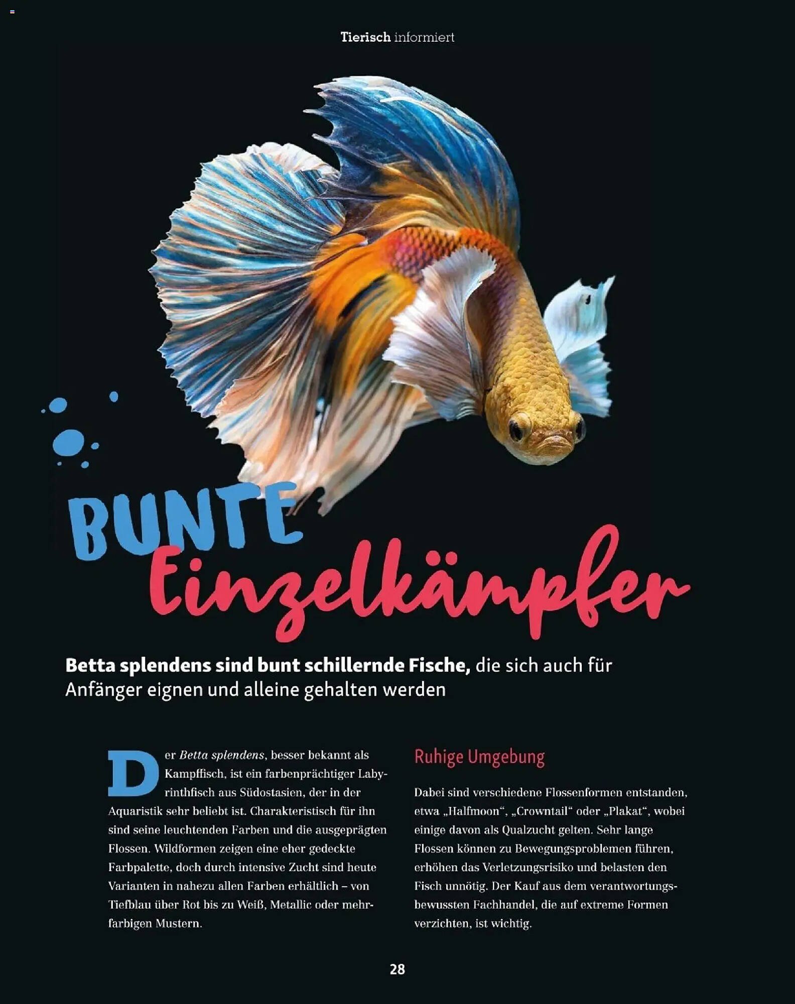 Fressnapf Flugblatt (2025-11-01 - 2025-12-31)