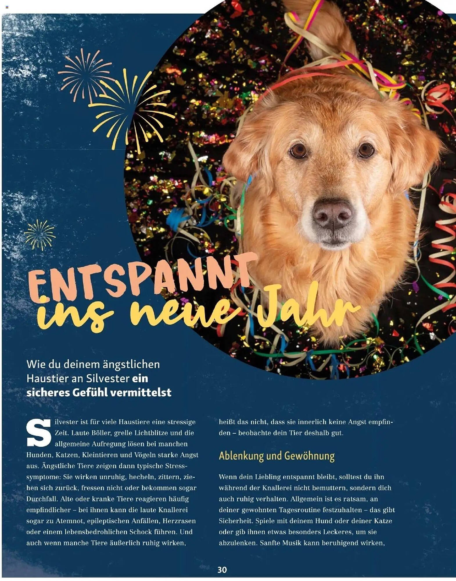 Fressnapf Flugblatt (2025-11-01 - 2025-12-31)