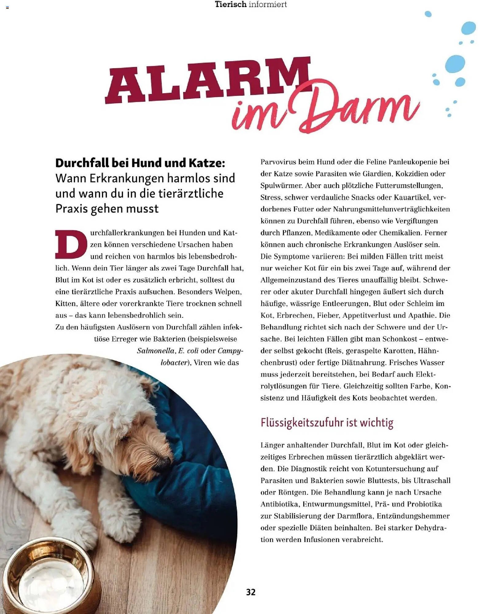 Fressnapf Flugblatt (2025-11-01 - 2025-12-31)