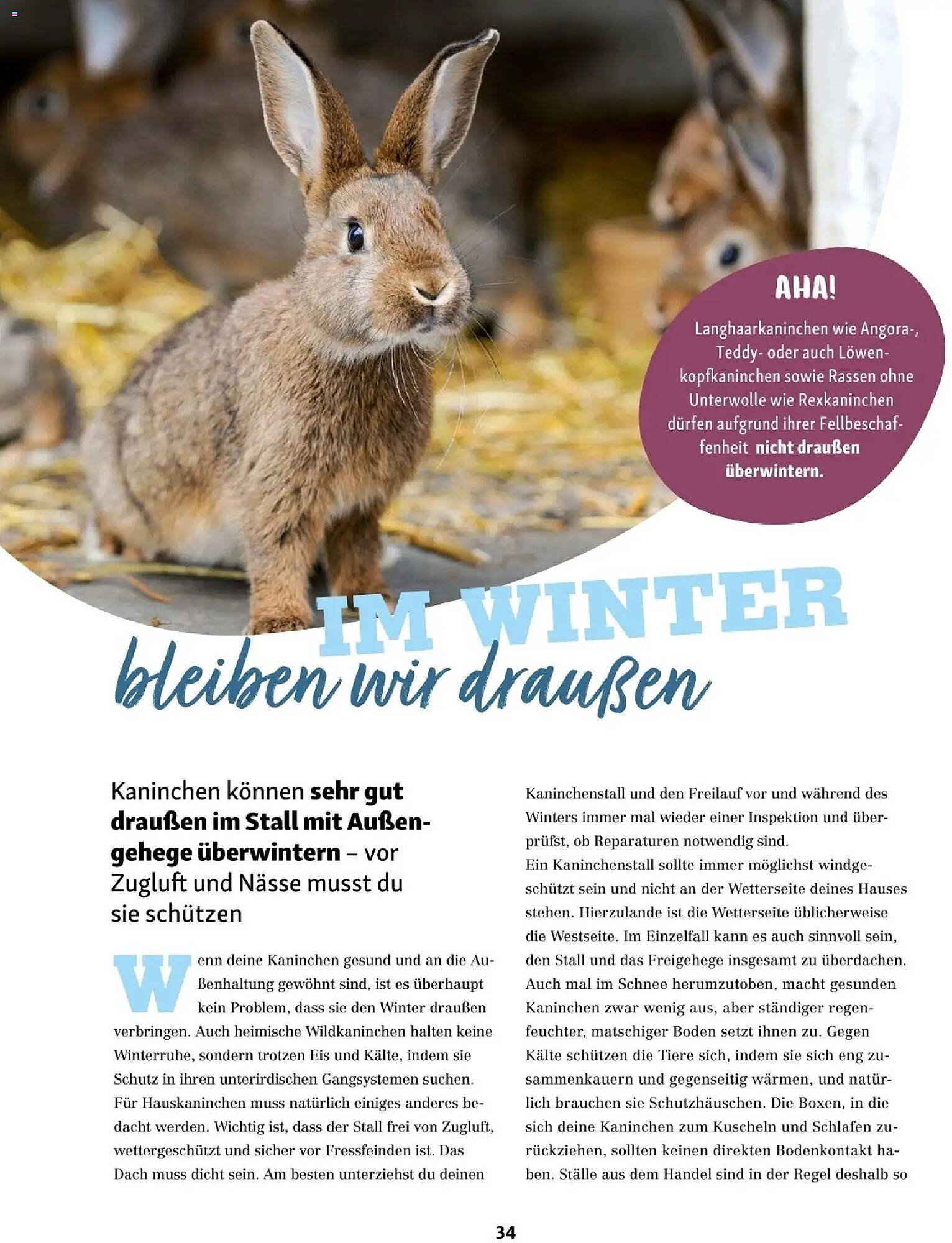 Fressnapf Flugblatt (2025-11-01 - 2025-12-31)