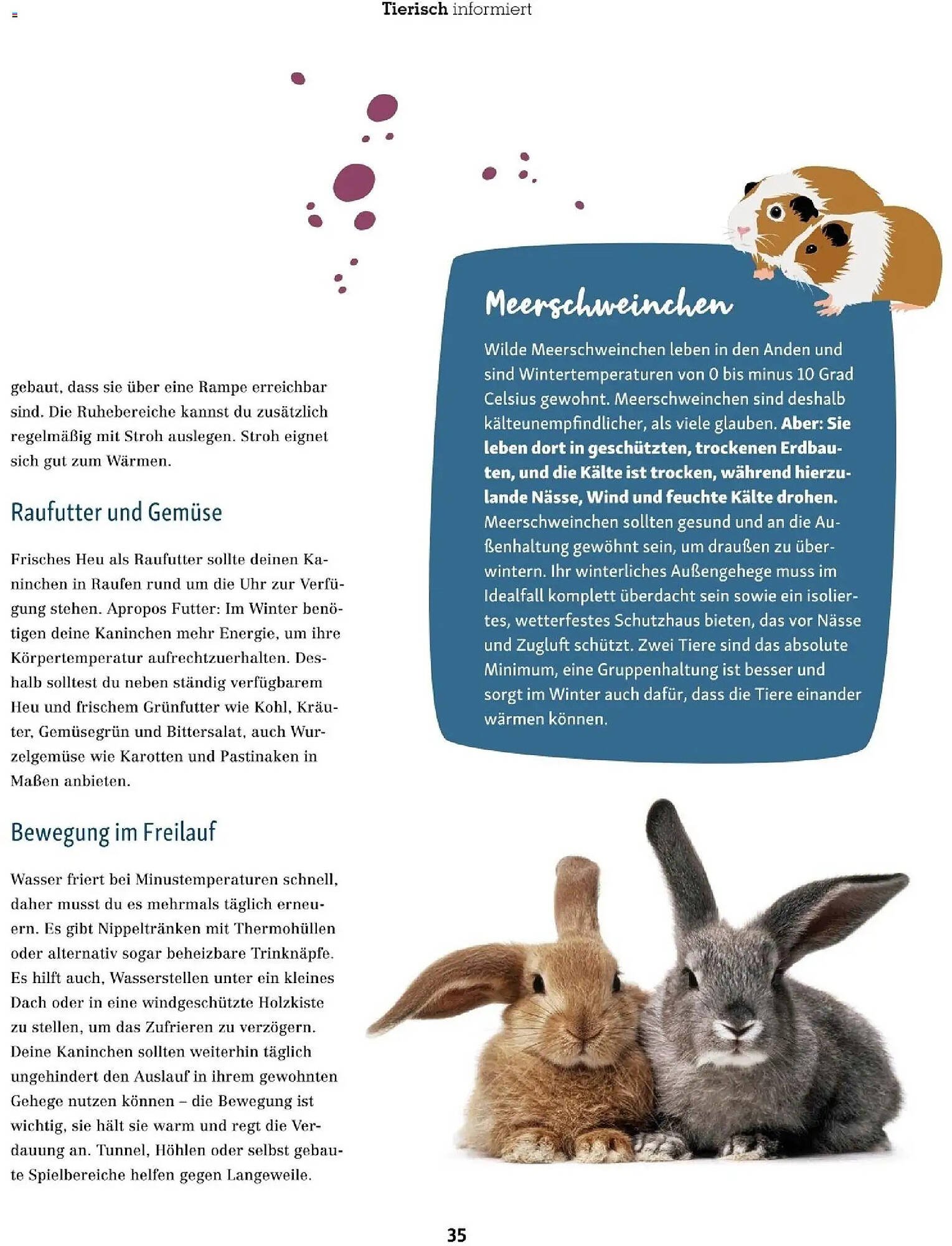 Fressnapf Flugblatt (2025-11-01 - 2025-12-31)