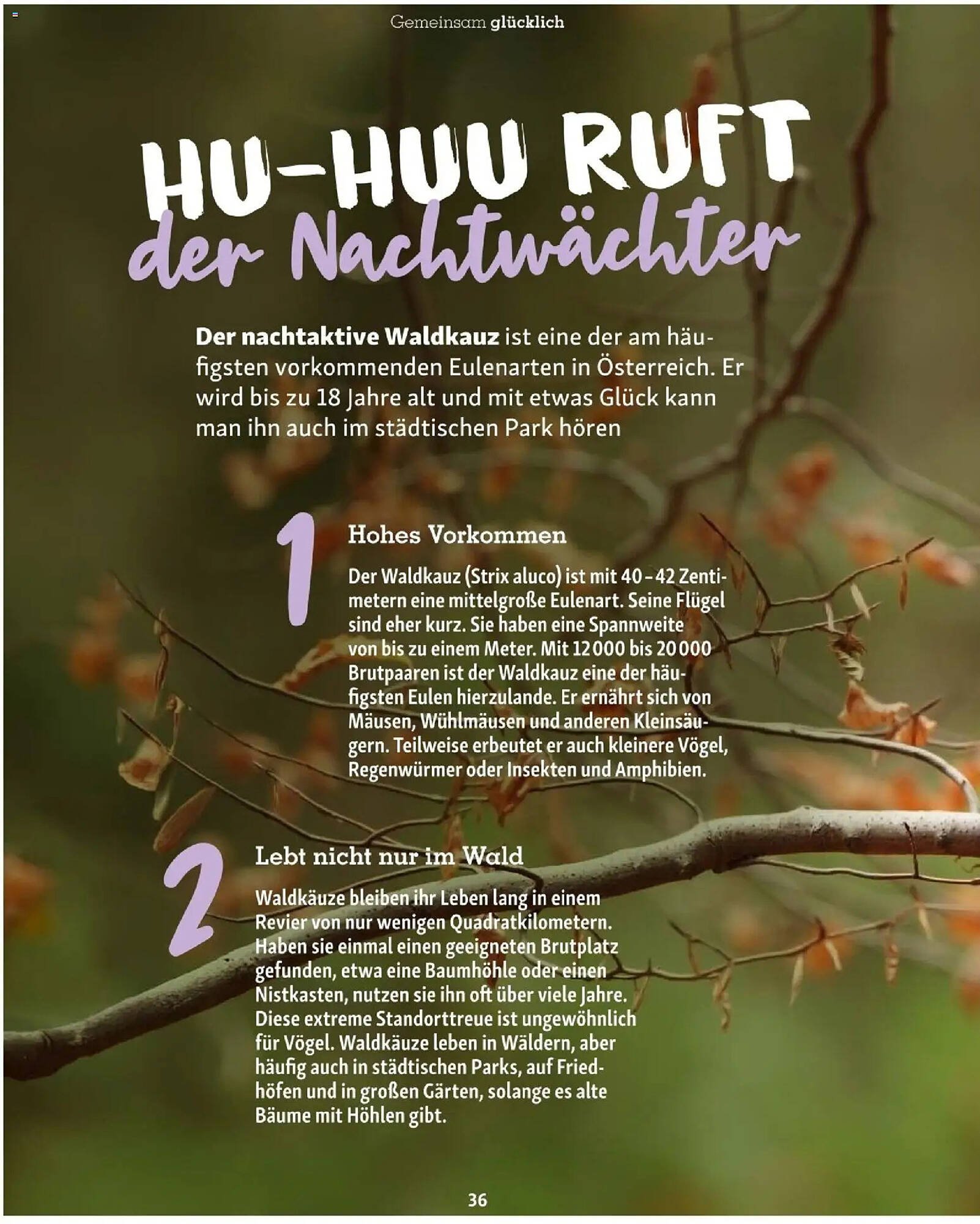 Fressnapf Flugblatt (2025-11-01 - 2025-12-31)