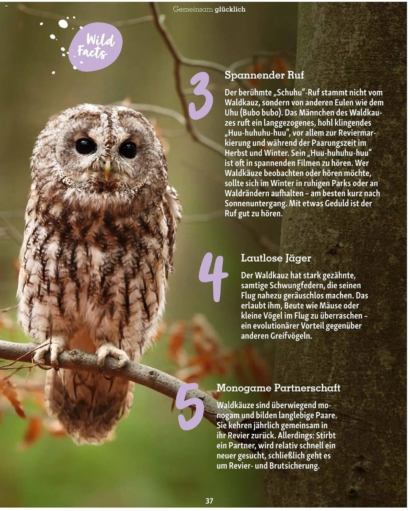 Fressnapf Flugblatt (2025-11-01 - 2025-12-31)