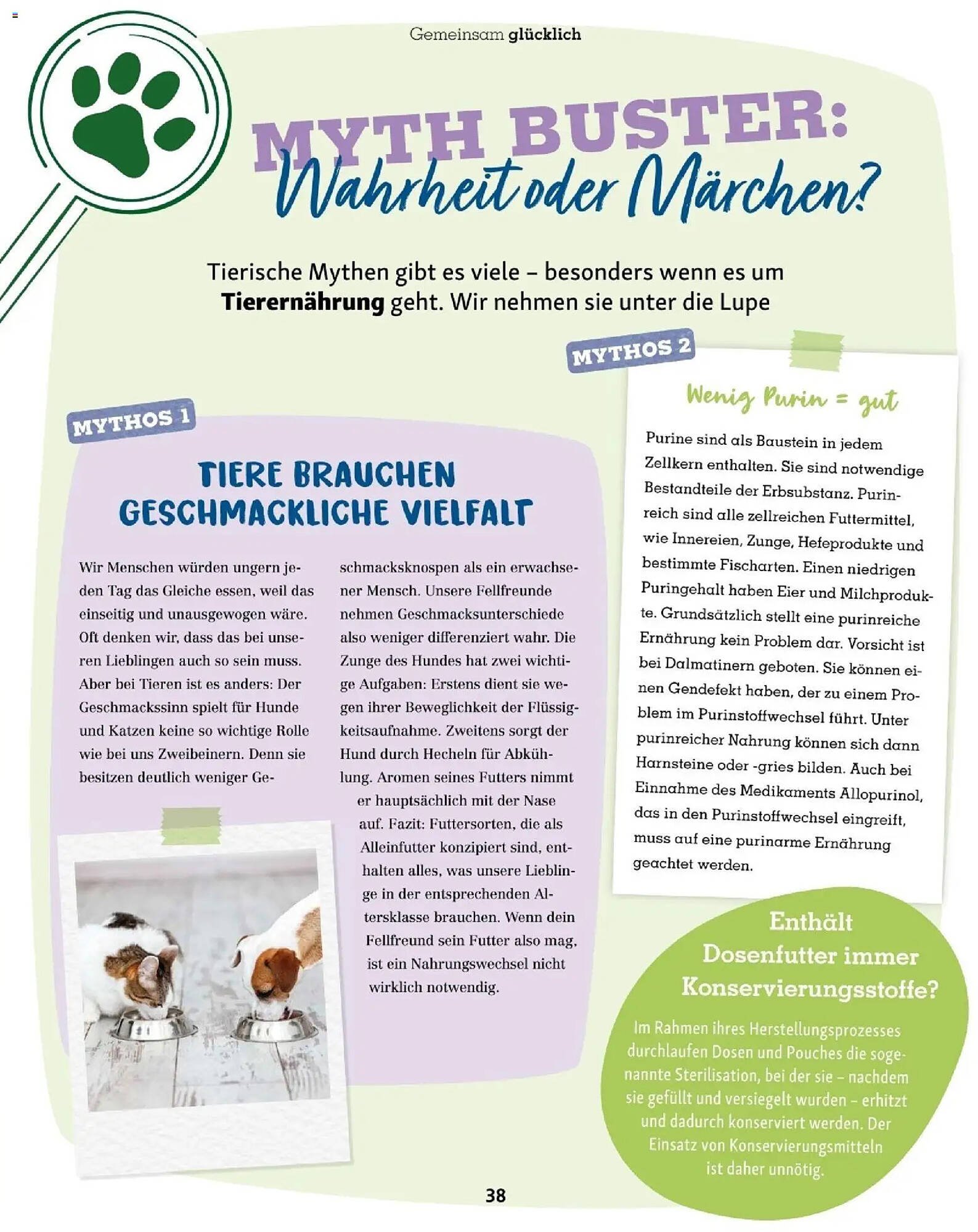 Fressnapf Flugblatt (2025-11-01 - 2025-12-31)