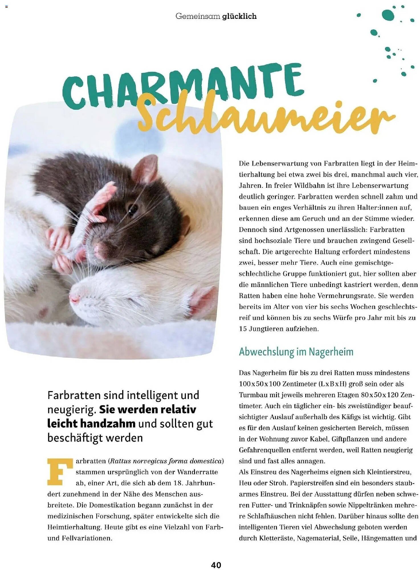 Fressnapf Flugblatt (2025-11-01 - 2025-12-31)