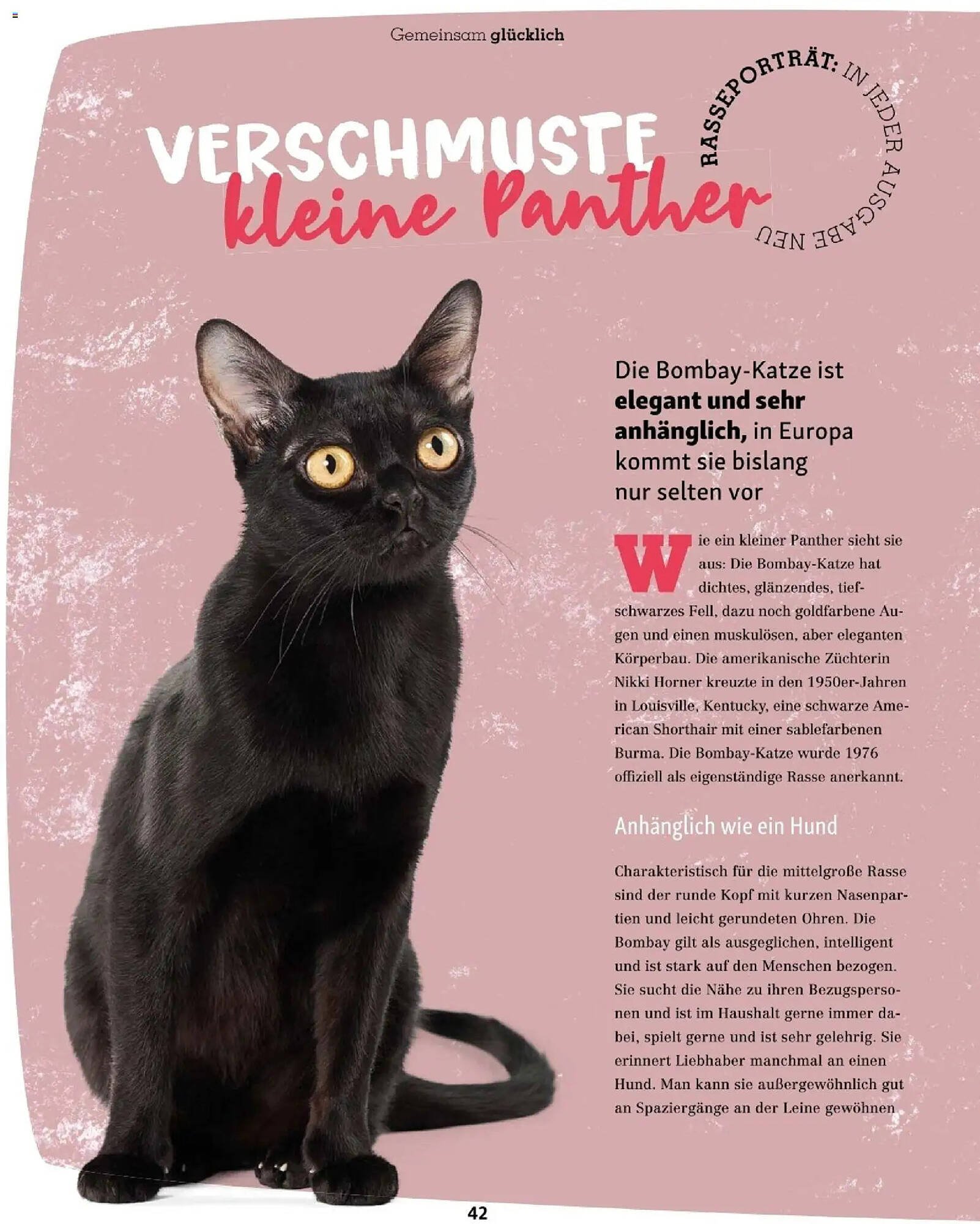 Fressnapf Flugblatt (2025-11-01 - 2025-12-31)