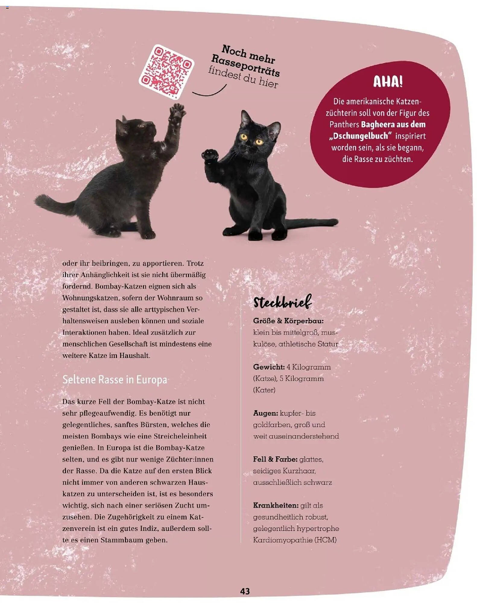 Fressnapf Flugblatt (2025-11-01 - 2025-12-31)