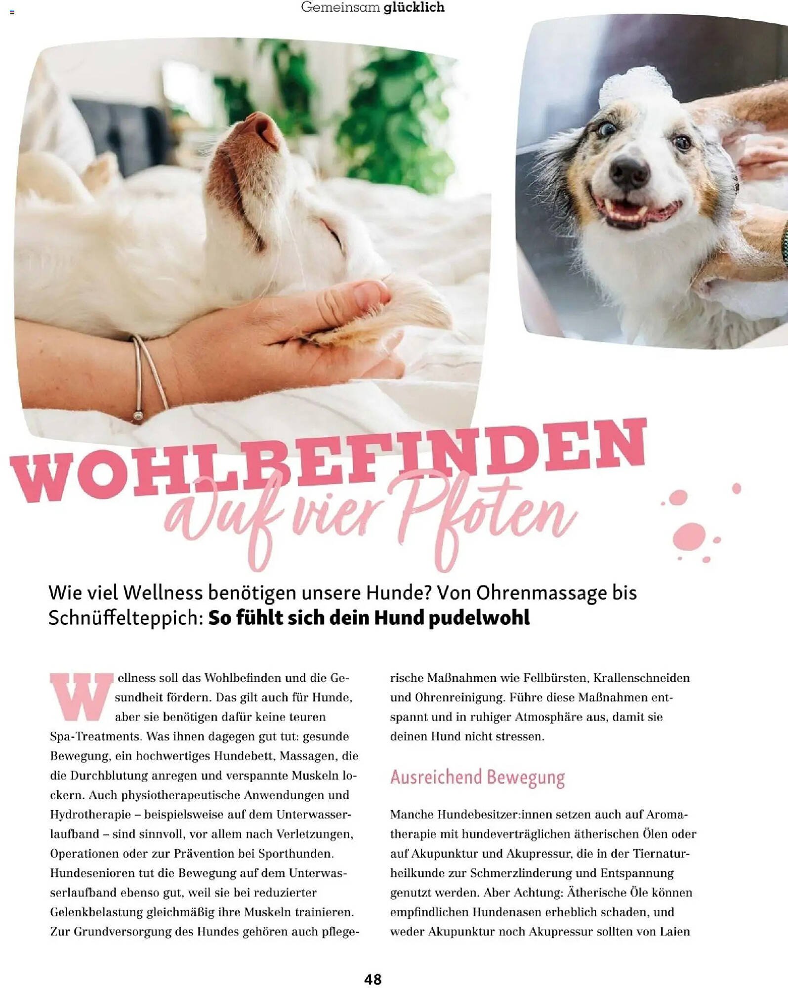 Fressnapf Flugblatt (2025-11-01 - 2025-12-31)