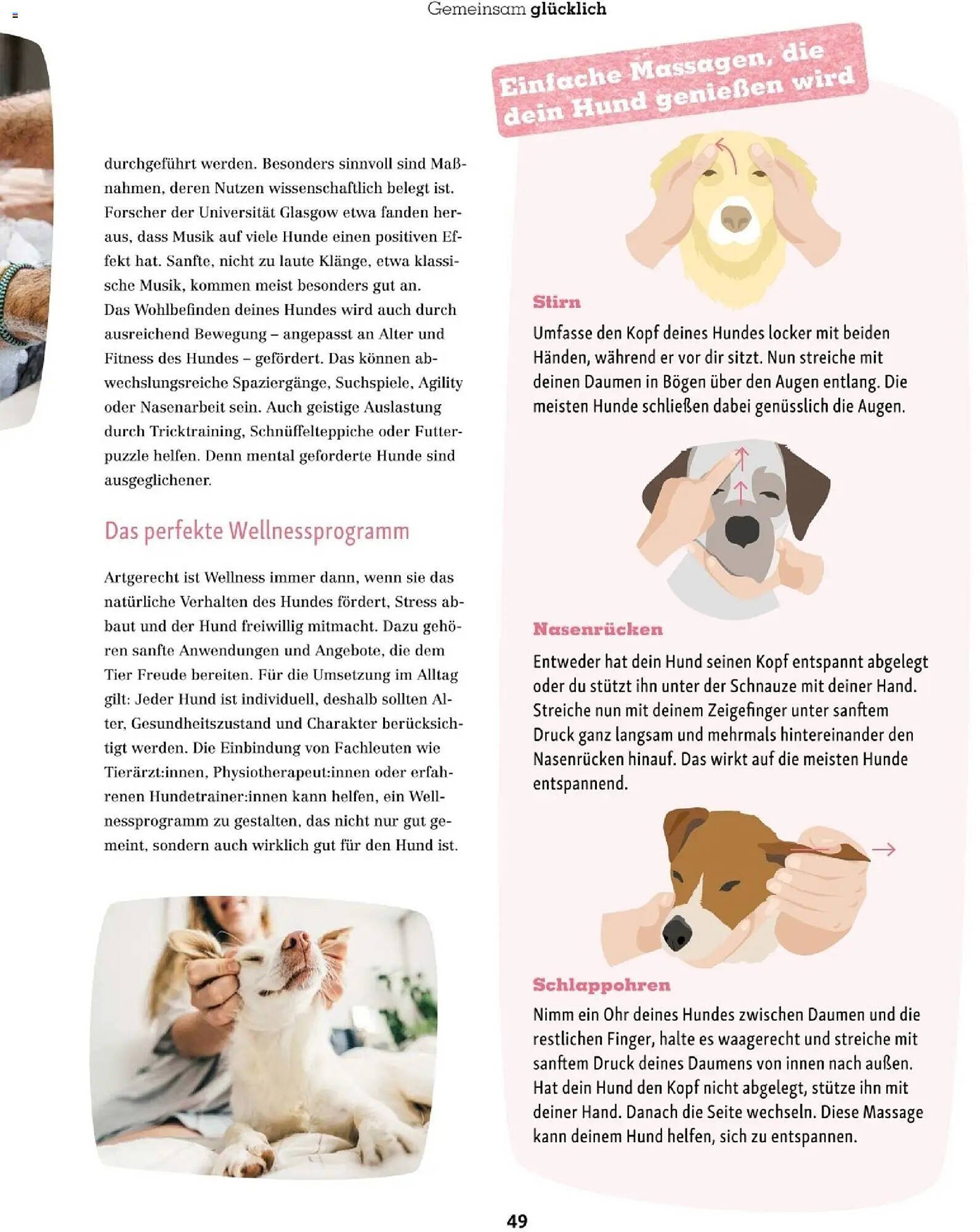 Fressnapf Flugblatt (2025-11-01 - 2025-12-31)