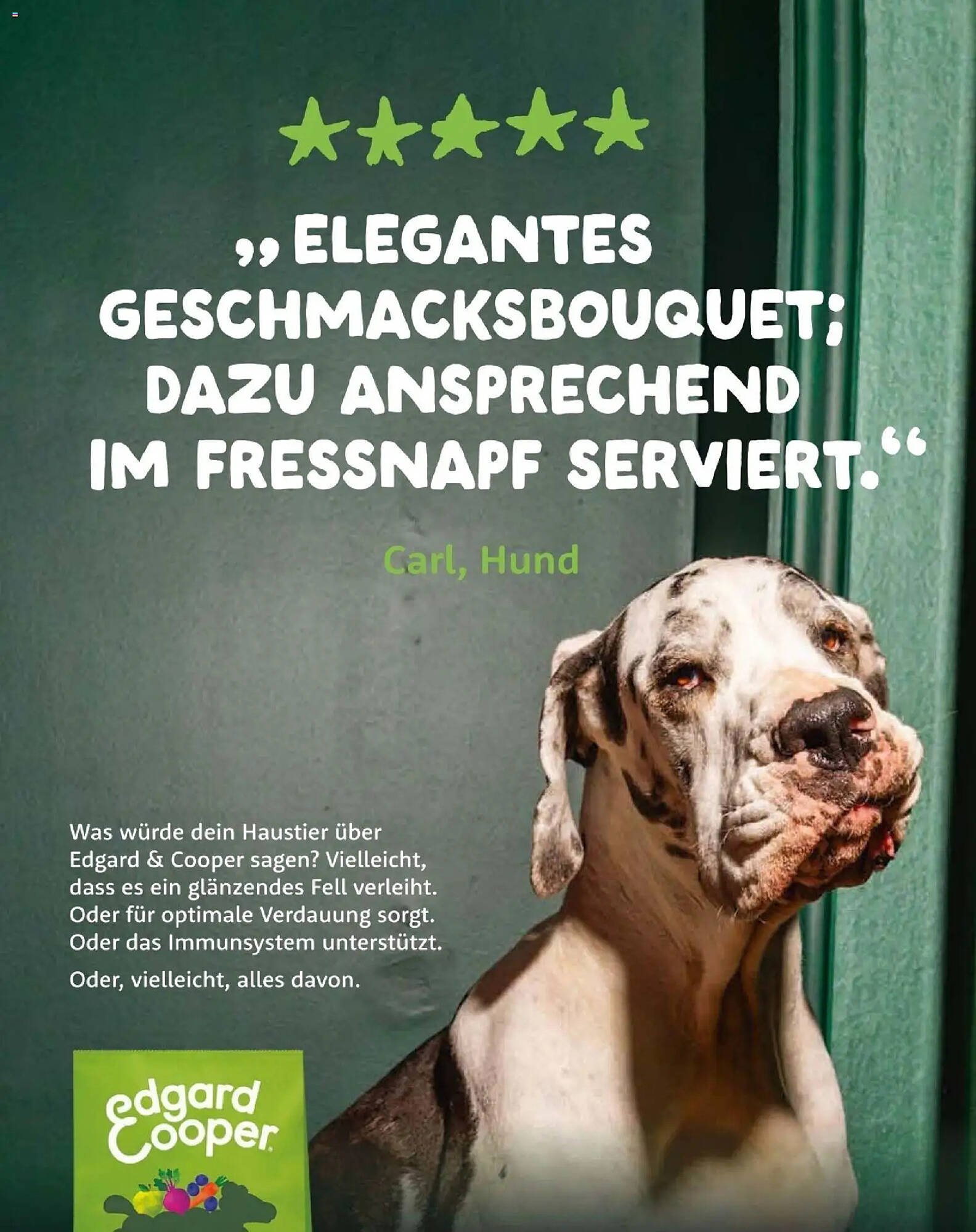 Fressnapf Flugblatt (2025-11-01 - 2025-12-31)