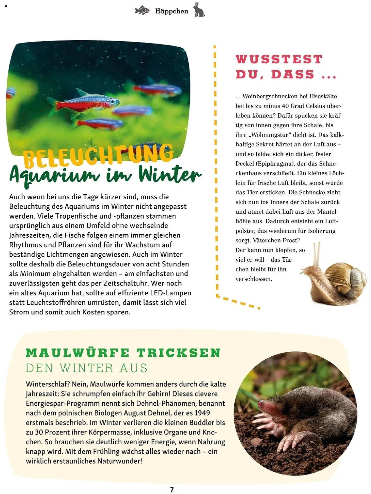 Fressnapf Flugblatt (2025-11-01 - 2025-12-31)