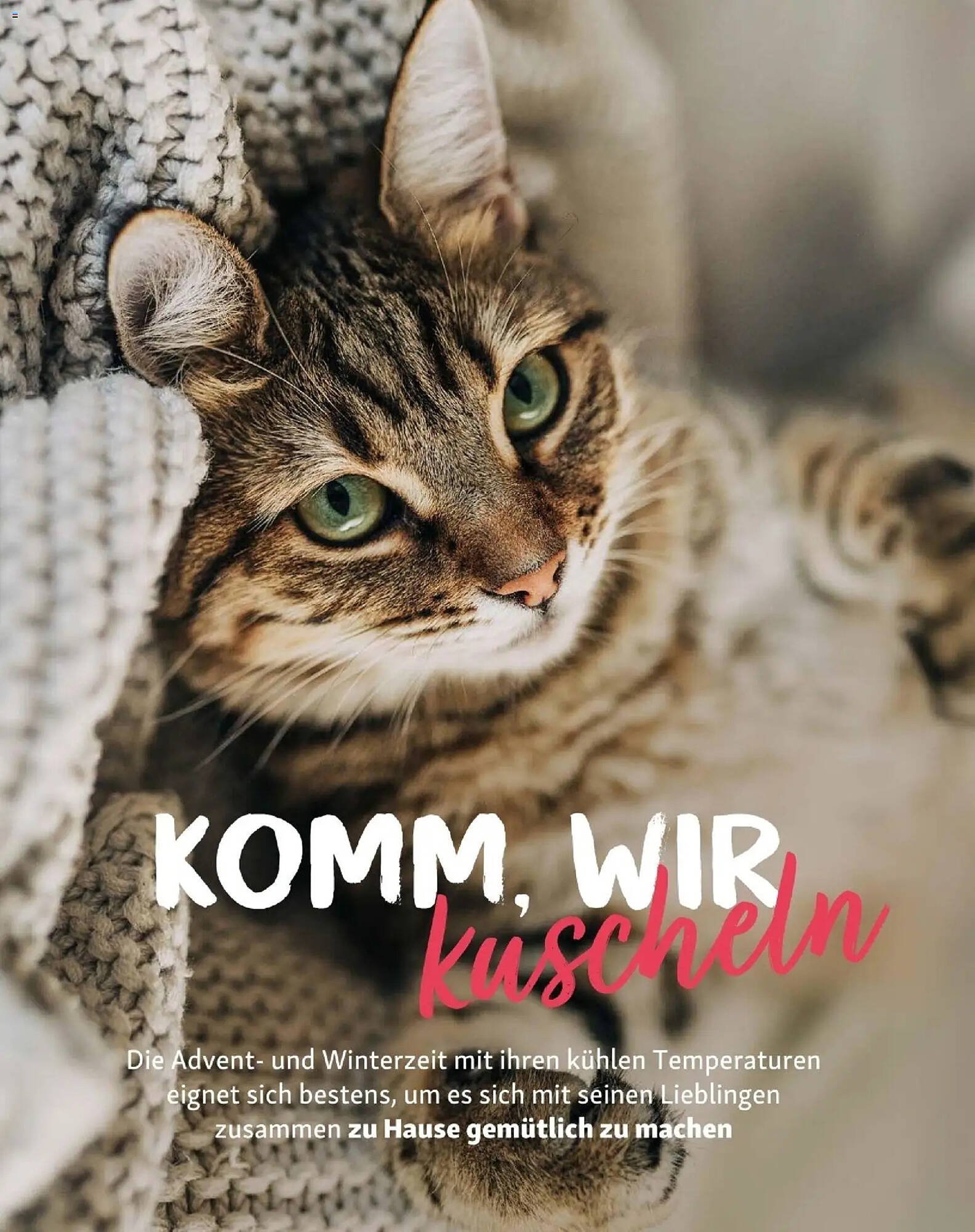 Fressnapf Flugblatt (2025-11-01 - 2025-12-31)