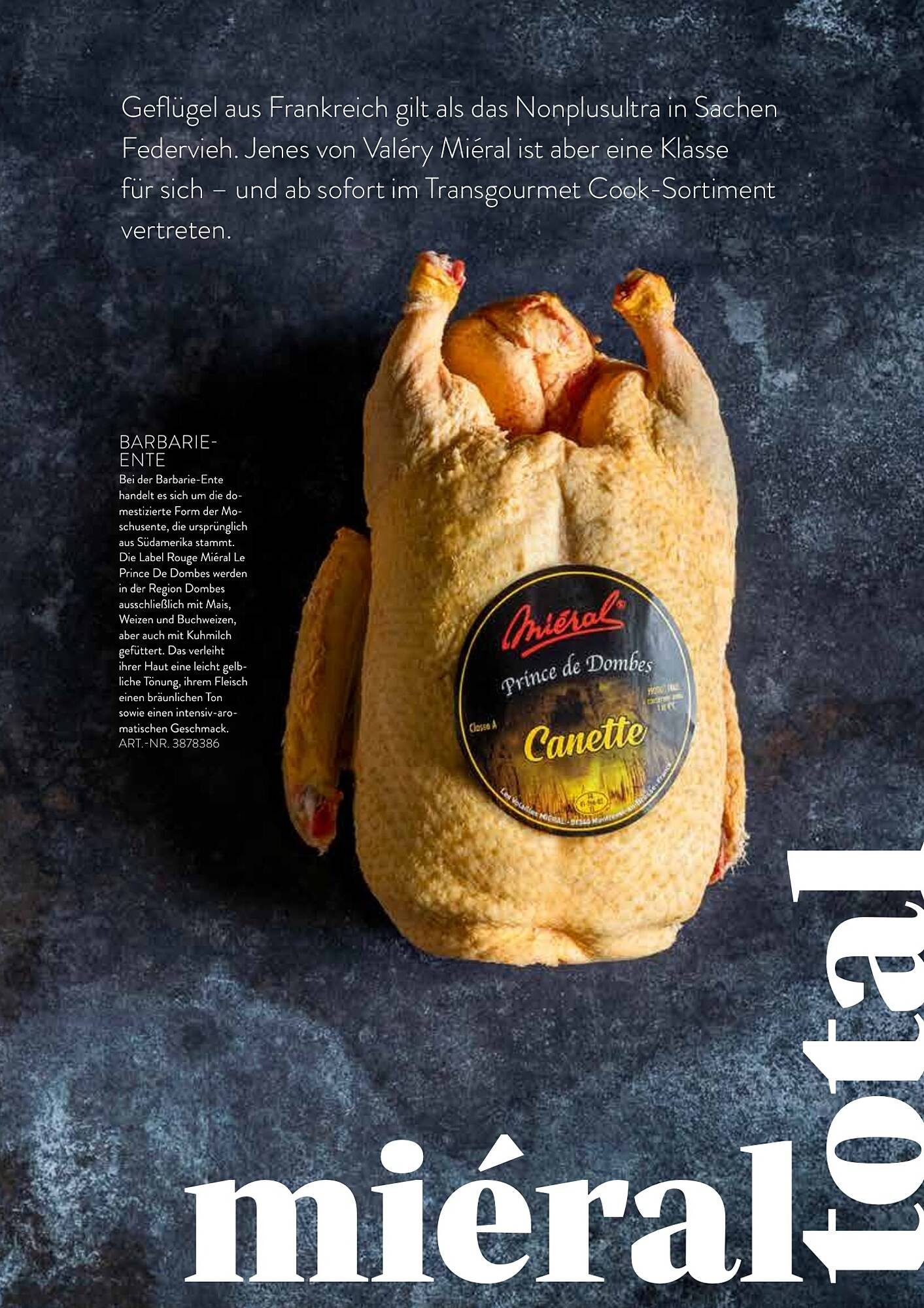 Transgourmet Flugblatt