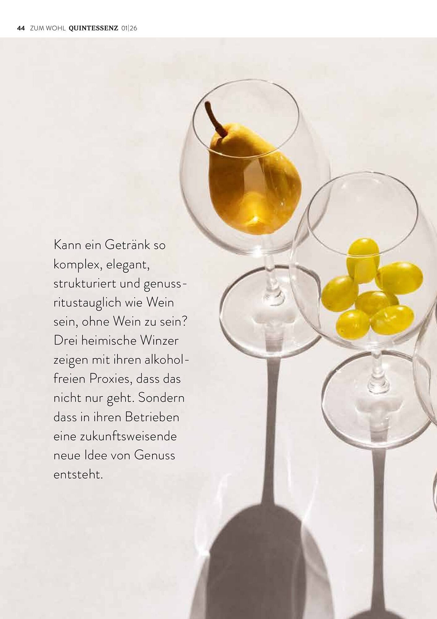 Transgourmet Flugblatt