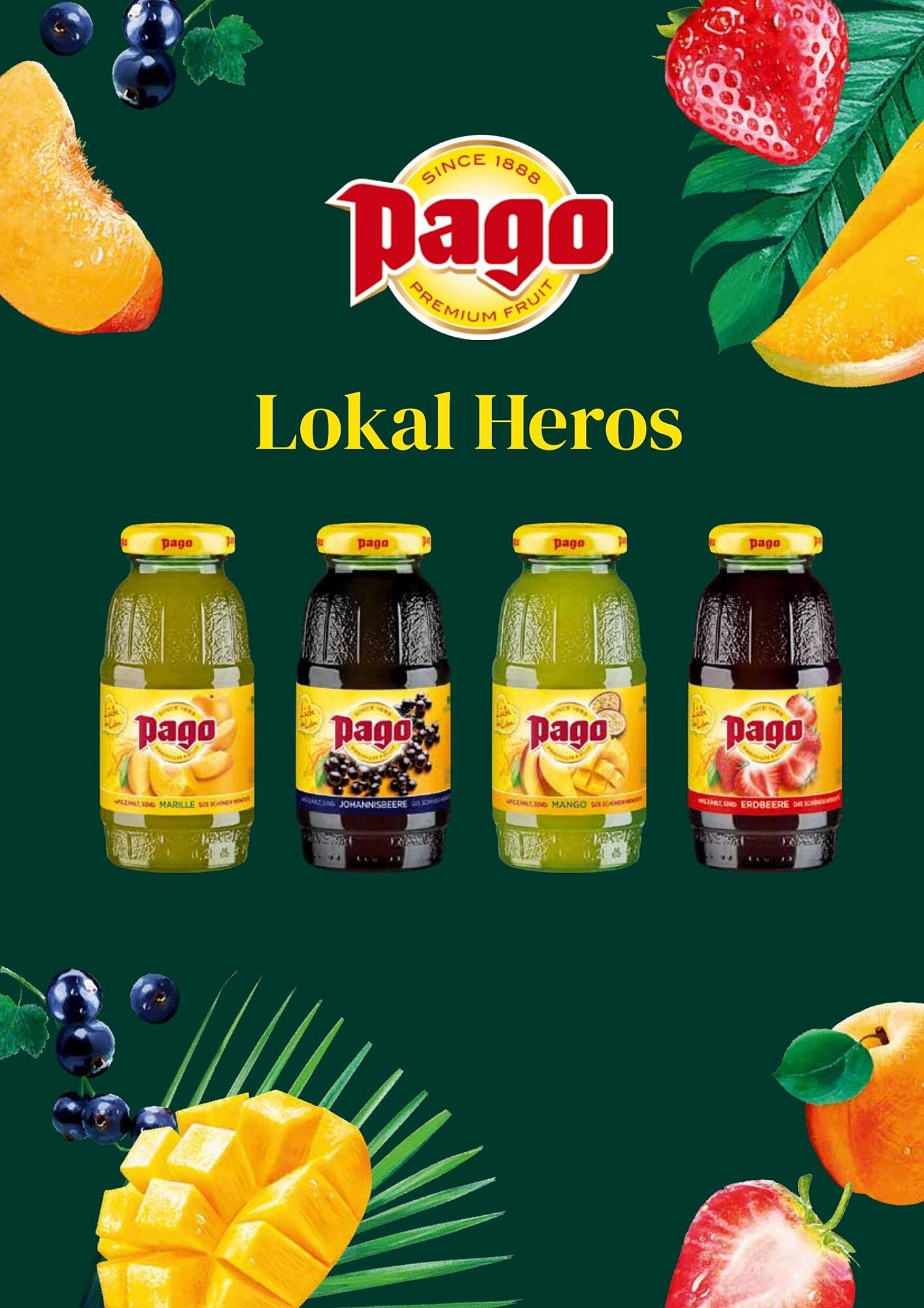 Transgourmet Flugblatt