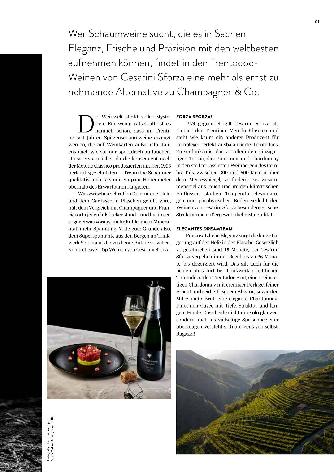 Transgourmet Flugblatt