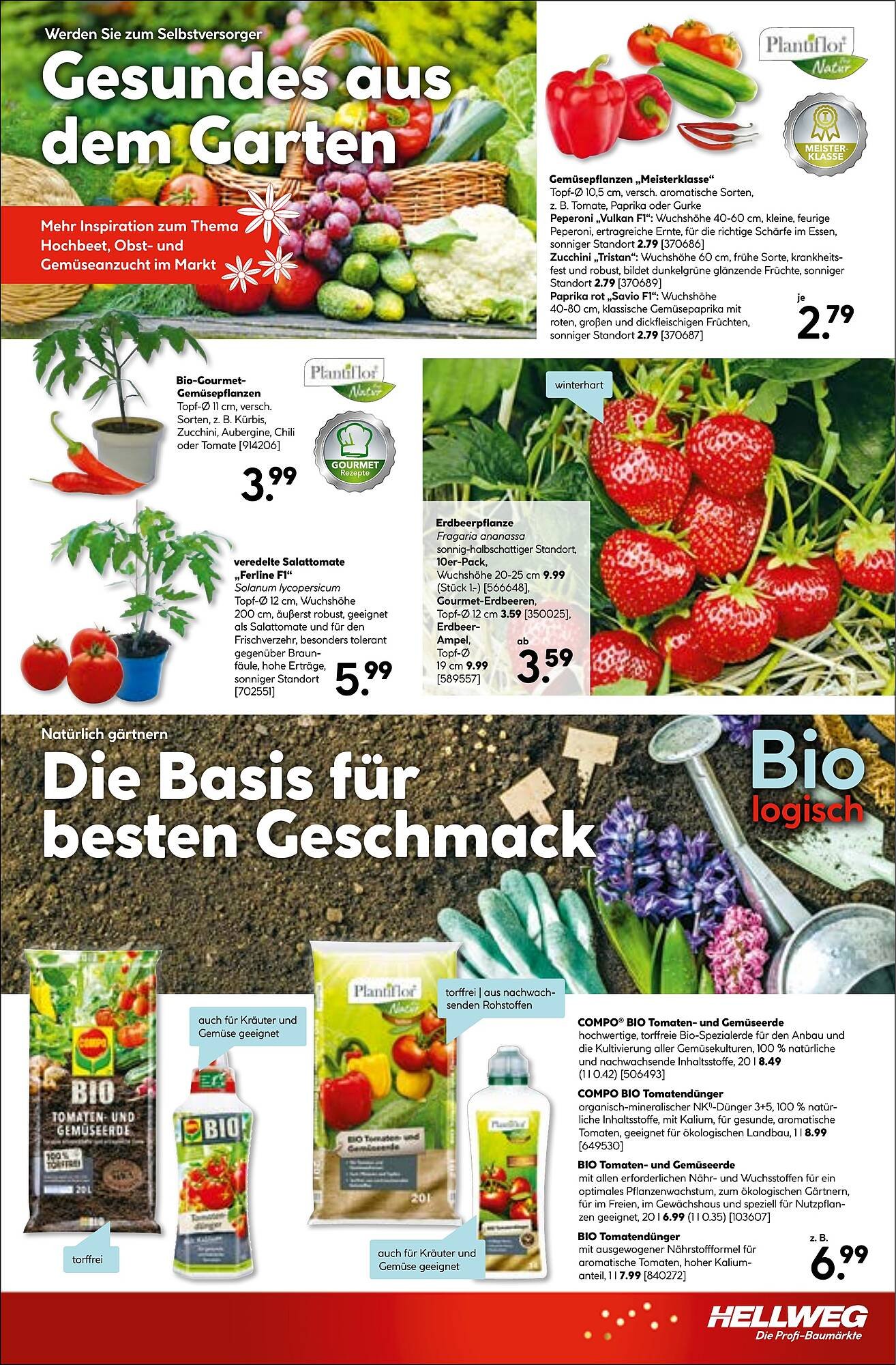 Hellweg Prospekt
