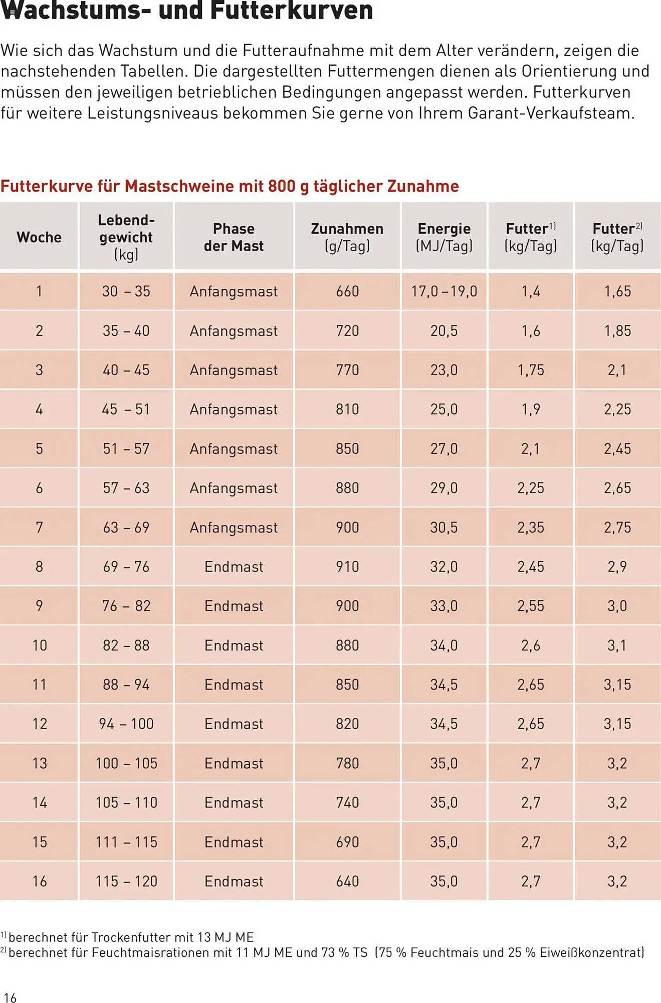 Lagerhaus Flugblatt (2025-10-01 - 2025-10-31)