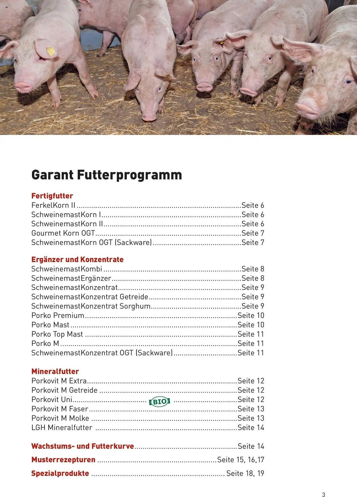 Lagerhaus Flugblatt (2025-10-01 - 2025-10-31)