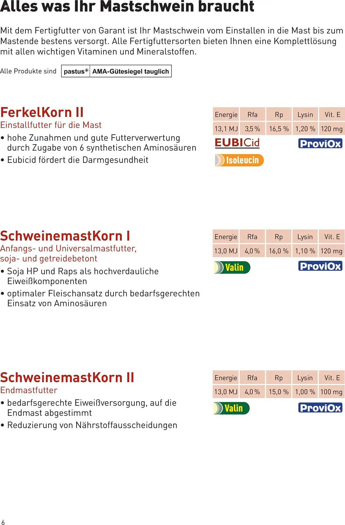 Lagerhaus Flugblatt (2025-10-01 - 2025-10-31)