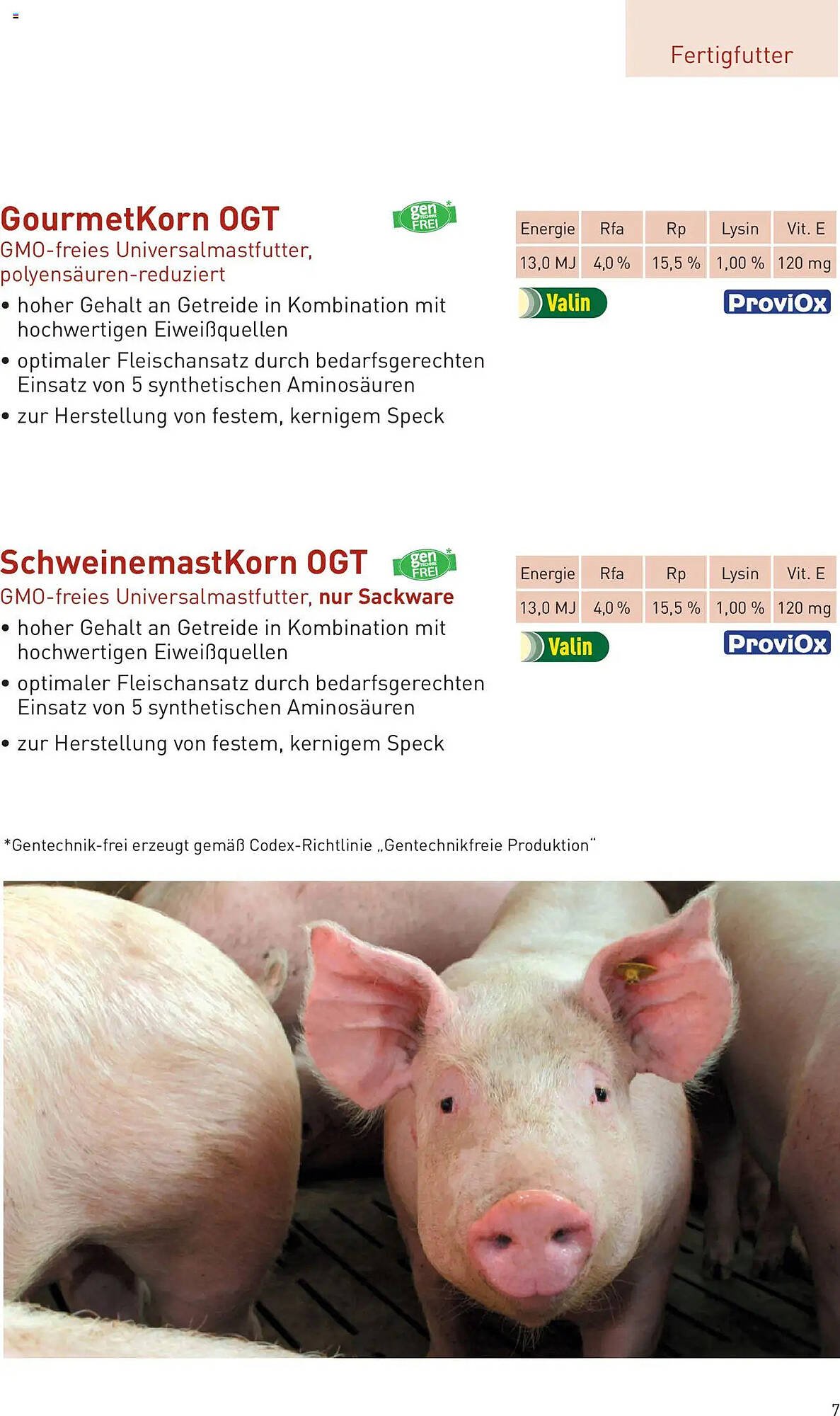 Lagerhaus Flugblatt (2025-10-01 - 2025-10-31)