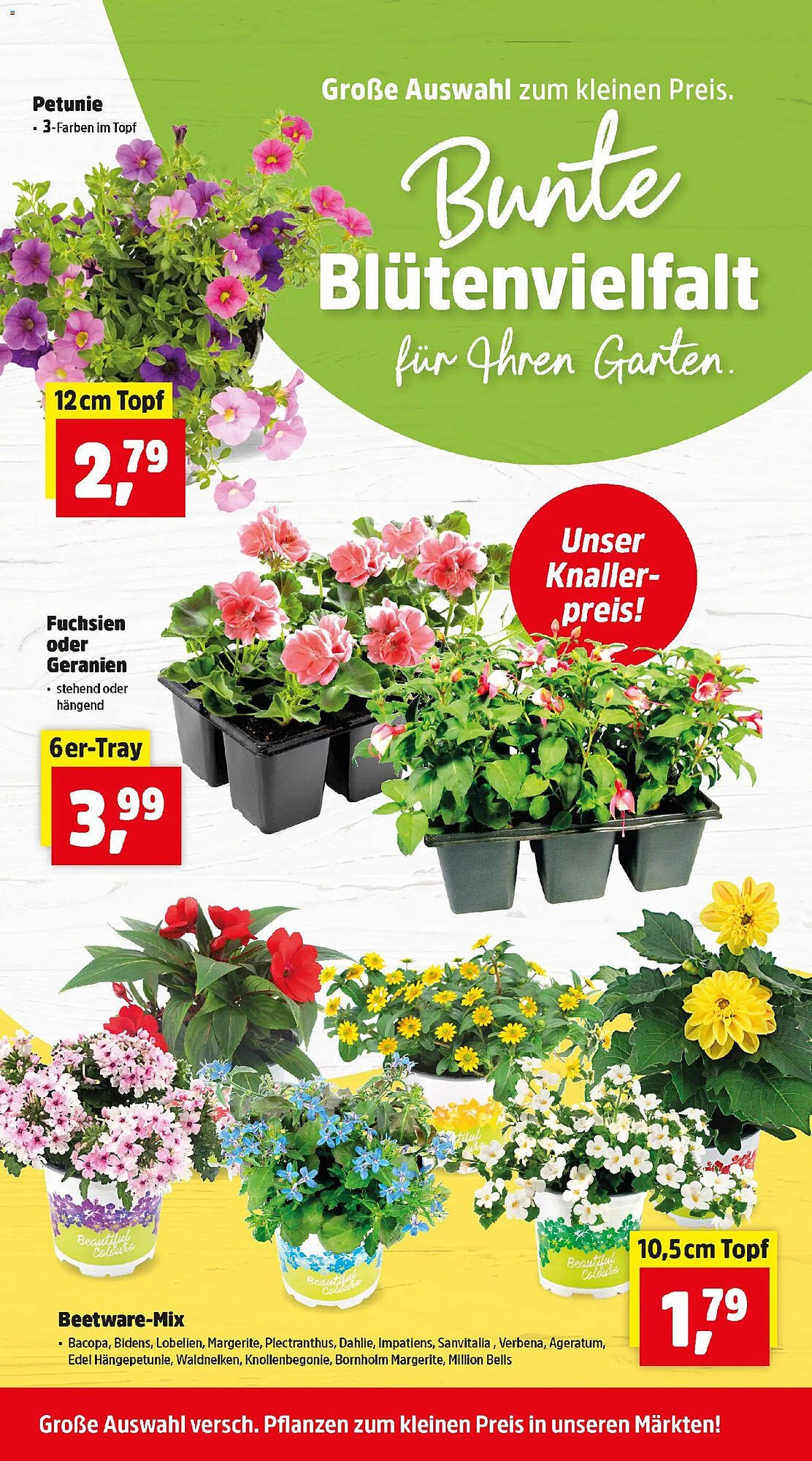 Thomas Philipps Prospekt